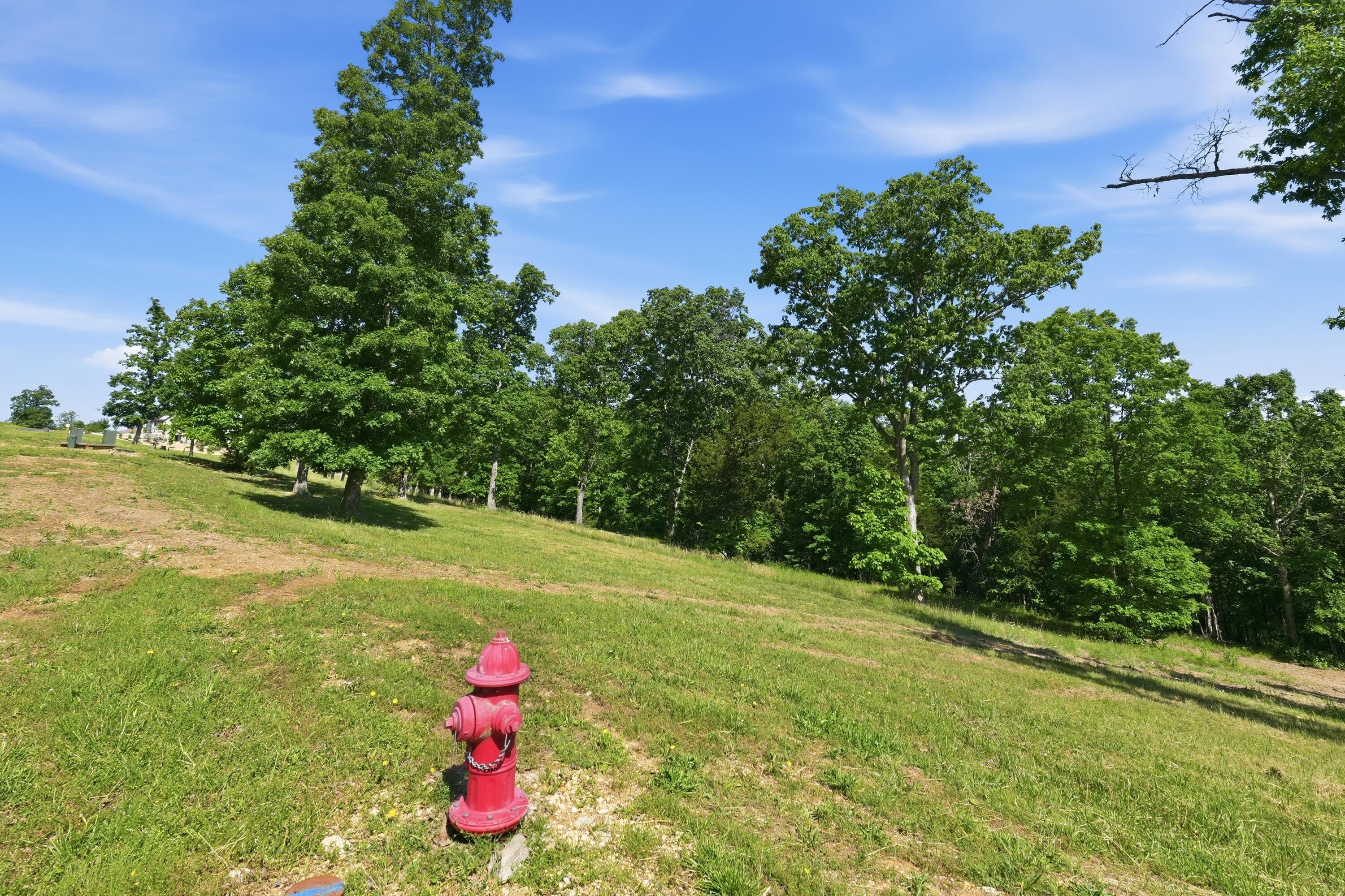Photo 3 - Land for sale – 115a,117  Valley Drive  Saddlebrooke, MO