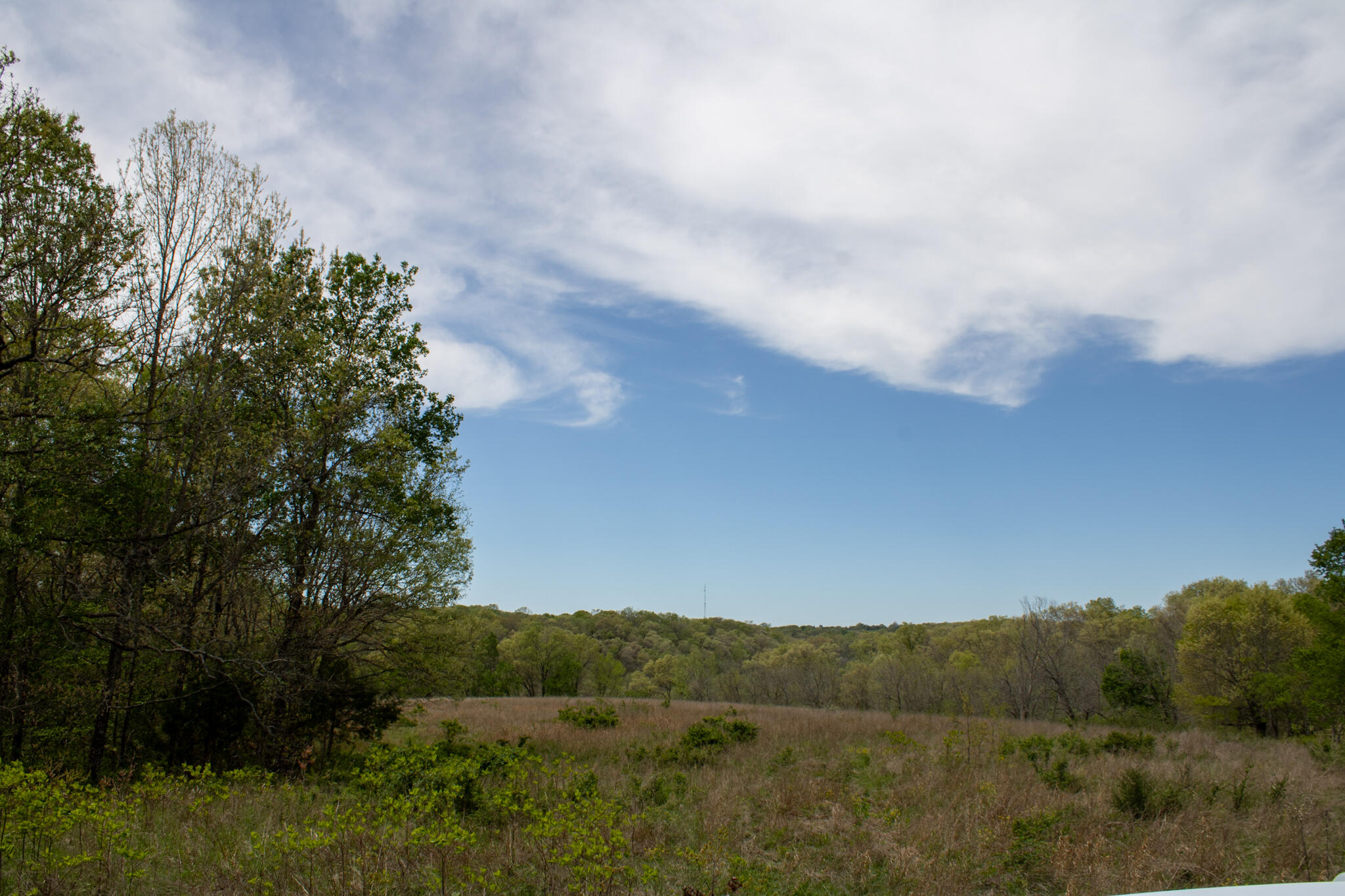 Photo 2 - Residential for sale – 370  Hayes Spring Drive  Crane, MO