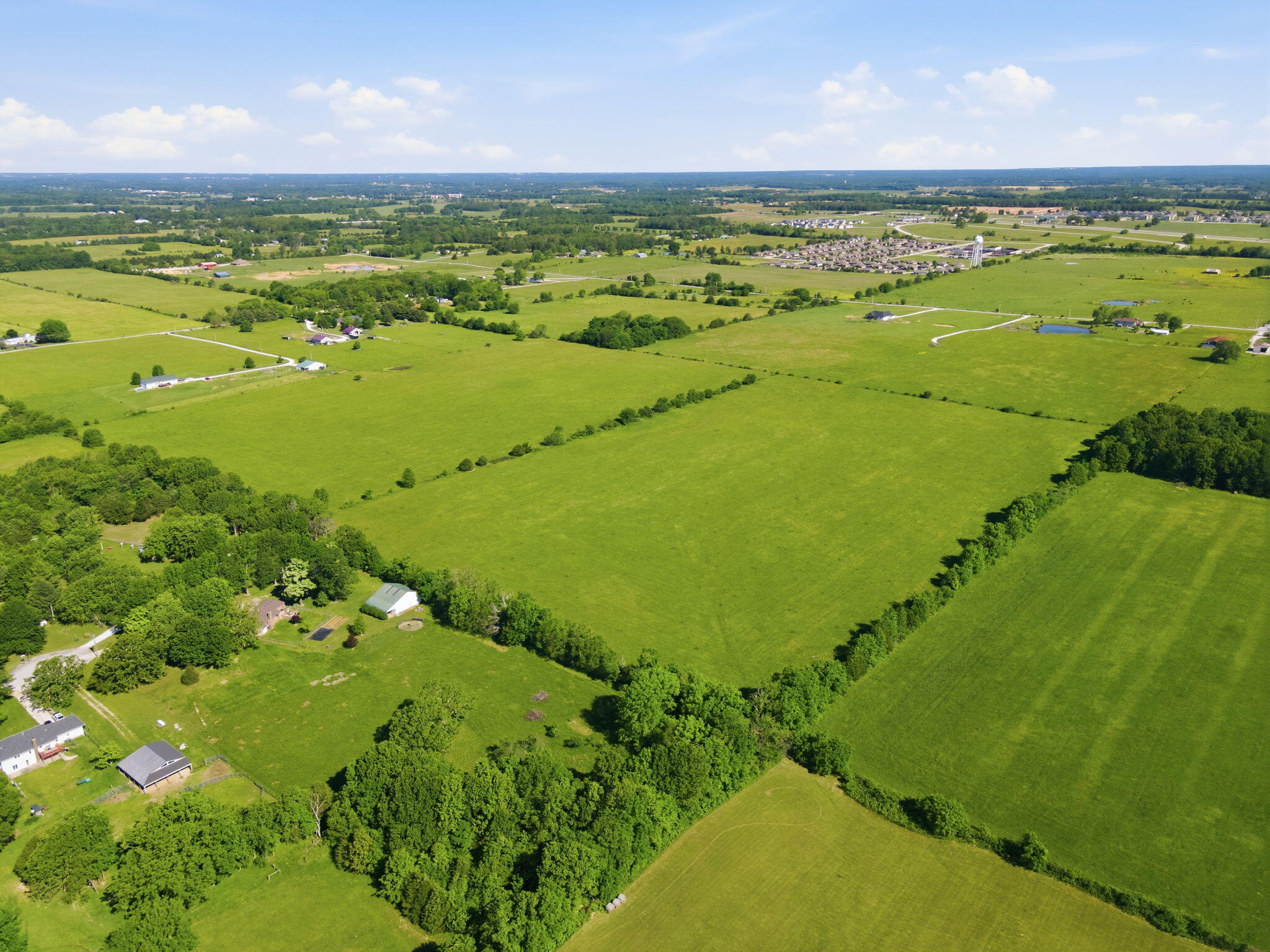 Photo 6 - Land for sale – 000 E Farm Road 186   Rogersville, MO
