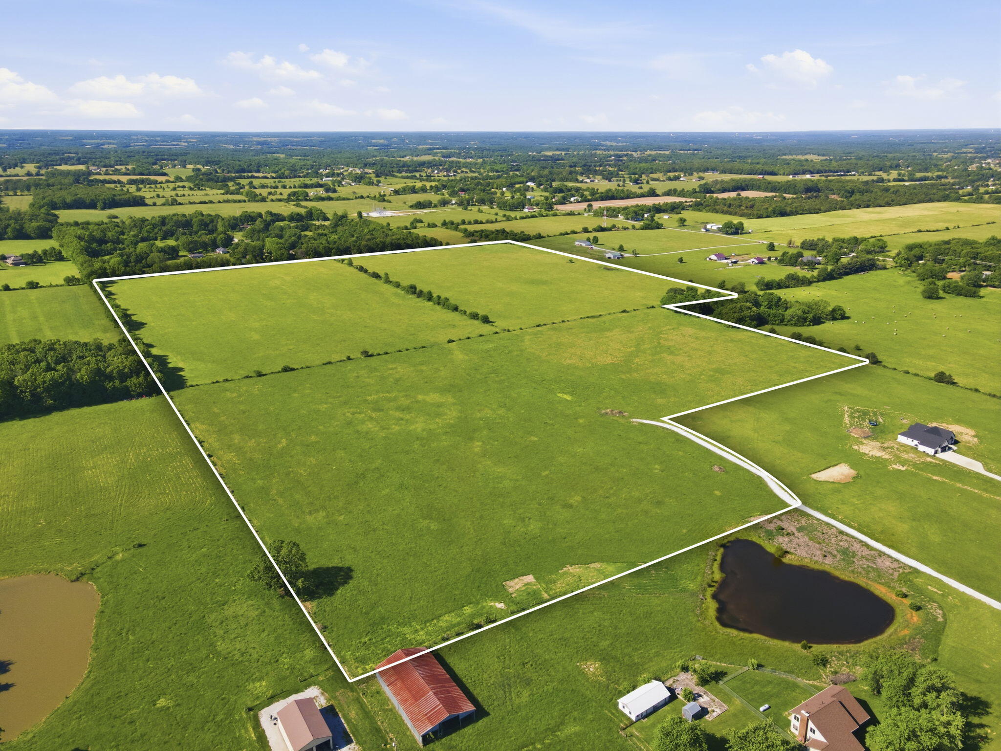 Photo 2 - Land for sale – 000 E Farm Road 186   Rogersville, MO