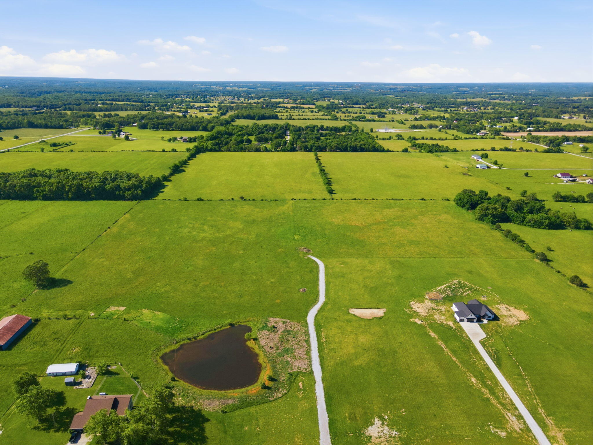 Photo 3 - Land for sale – 000 E Farm Road 186   Rogersville, MO