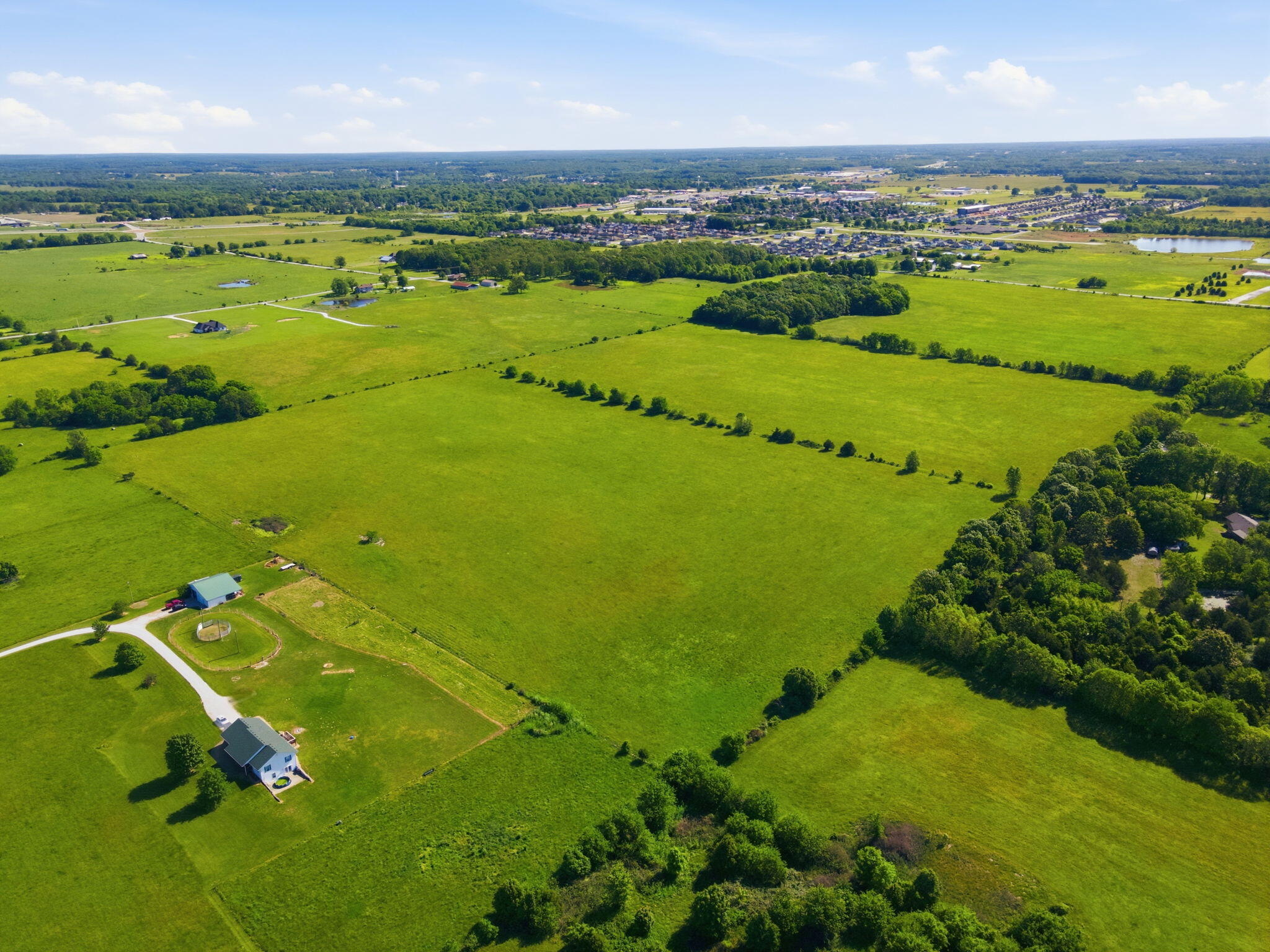 Photo 4 - Land for sale – 000 E Farm Road 186   Rogersville, MO