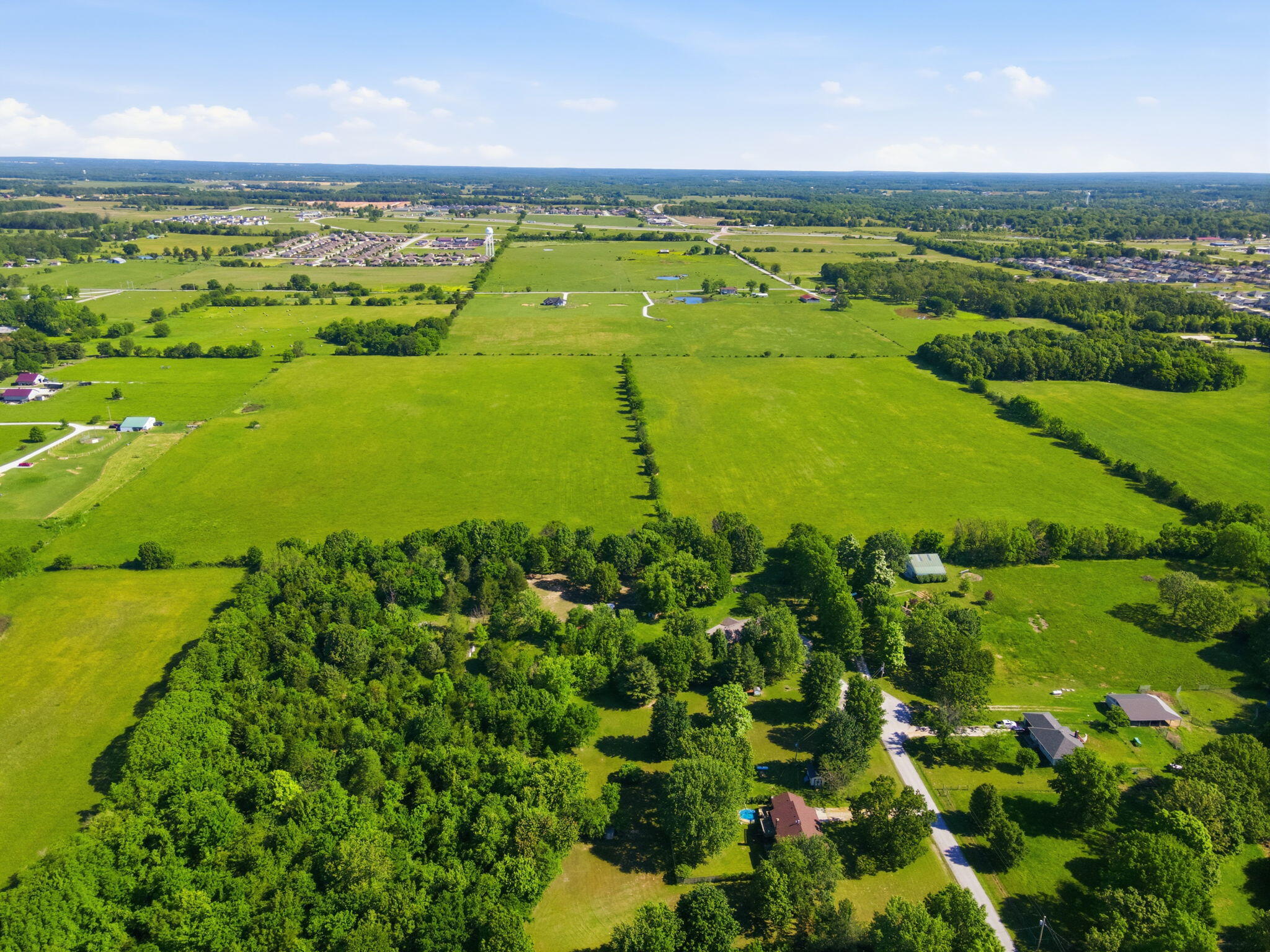 Photo 5 - Land for sale – 000 E Farm Road 186   Rogersville, MO