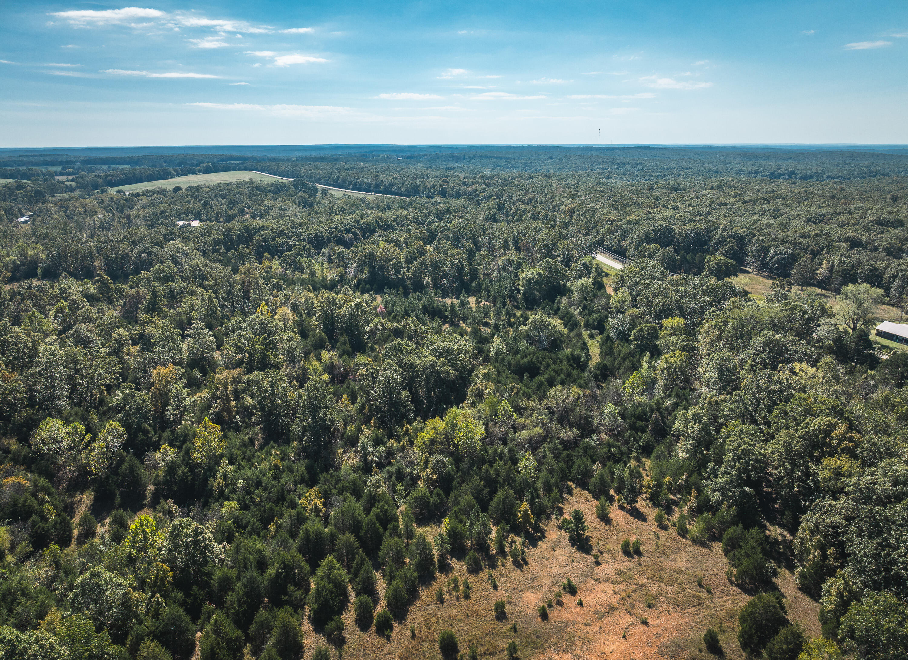Photo 5 - Land for sale – Lot 1  State Route J   Newburg, MO