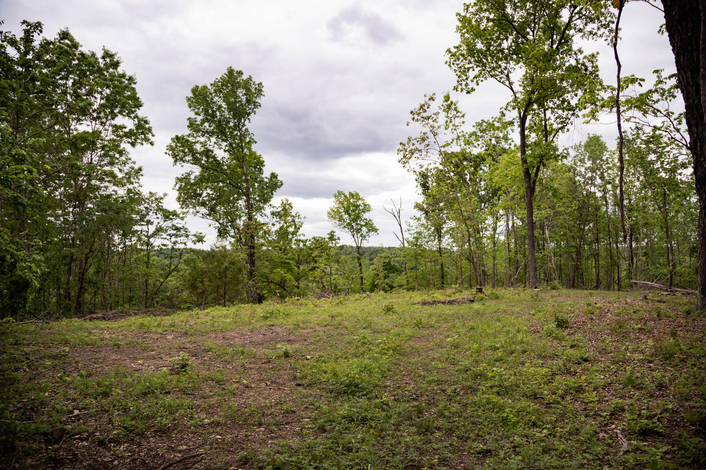 Photo 5 - Land for sale – 000  State Highway Y   Myrtle, MO