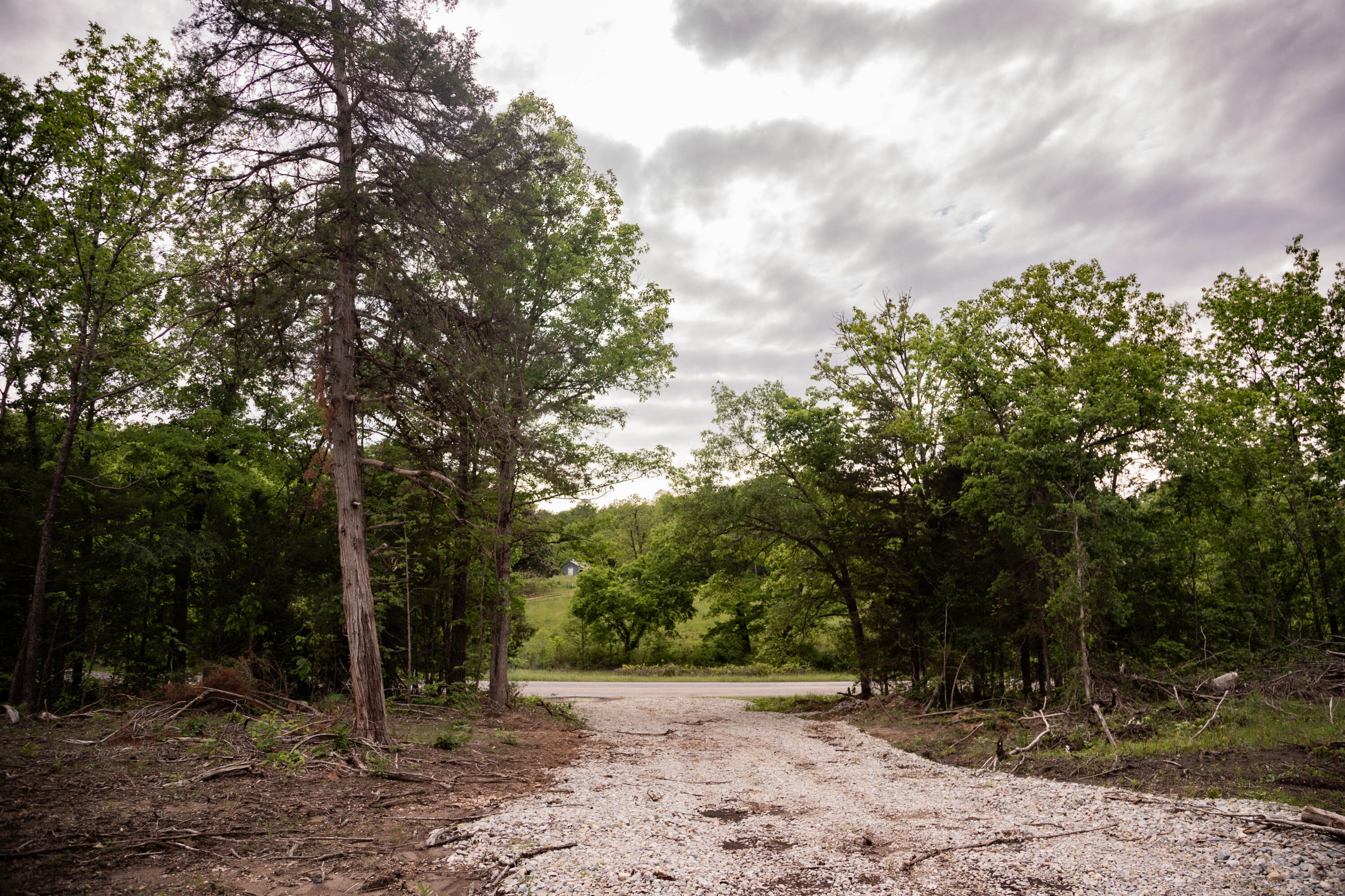 Photo 2 - Land for sale – 000  State Highway Y   Myrtle, MO
