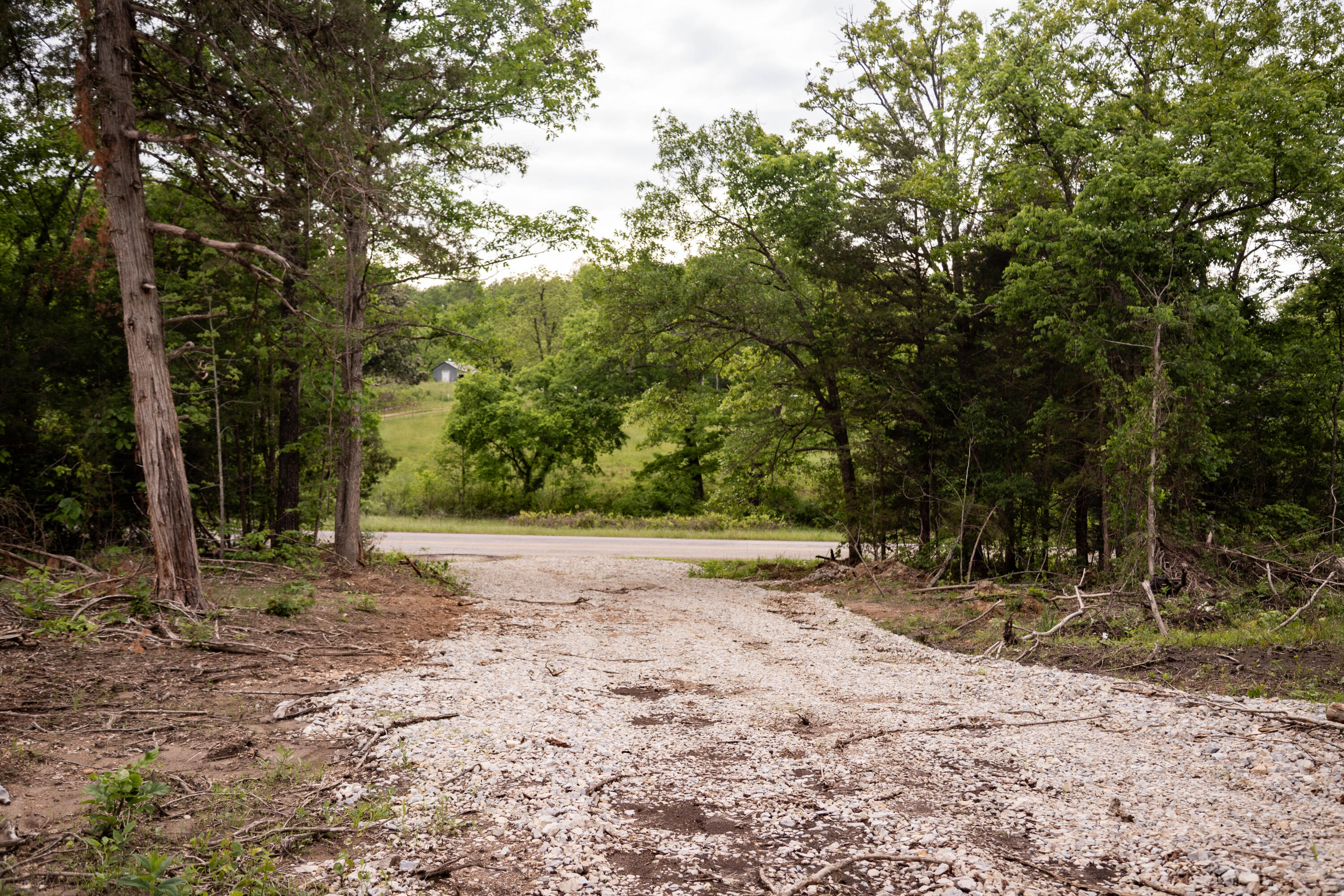Photo 8 - Land for sale – 000  State Highway Y   Myrtle, MO