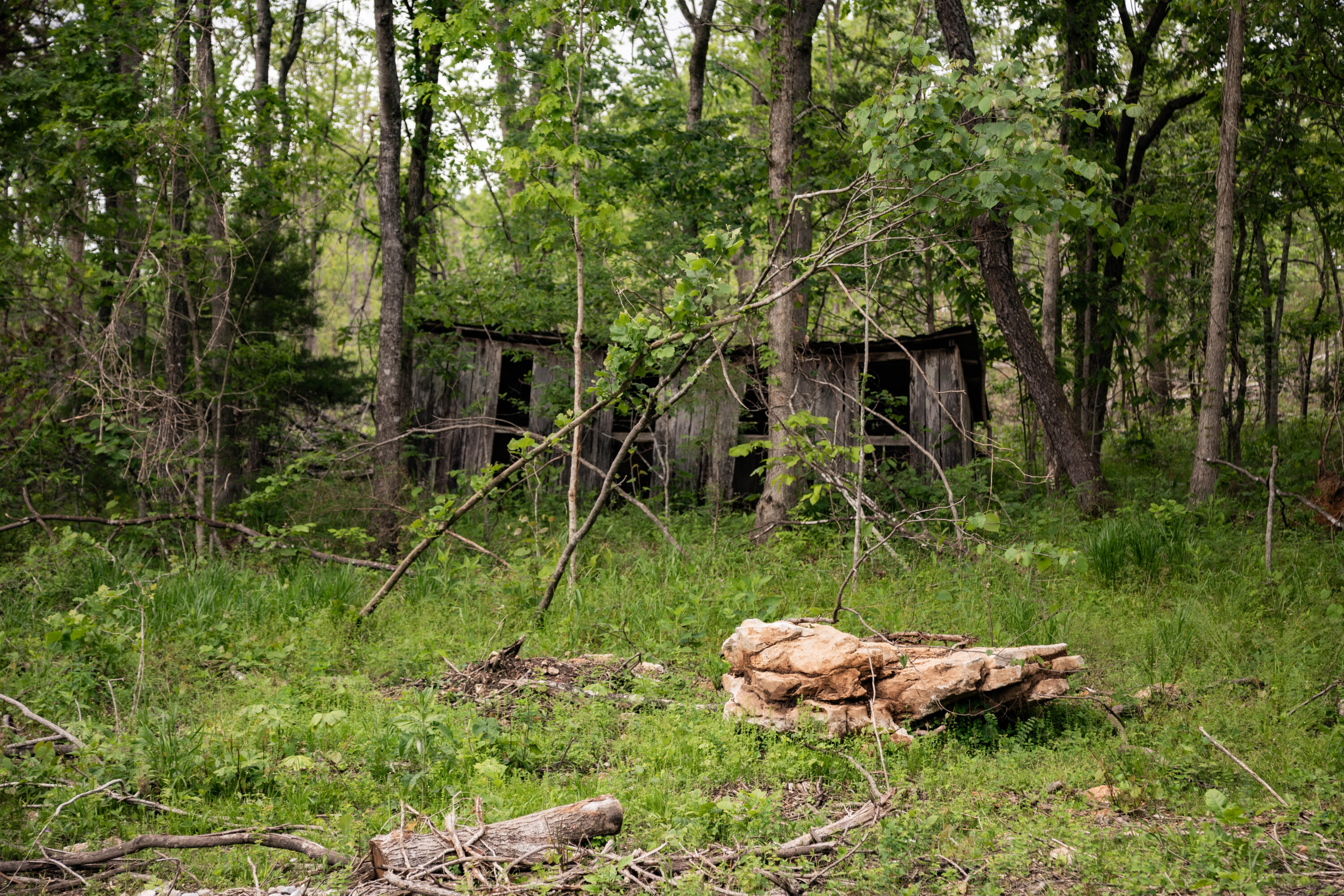 Photo 3 - Land for sale – 000  State Highway Y   Myrtle, MO