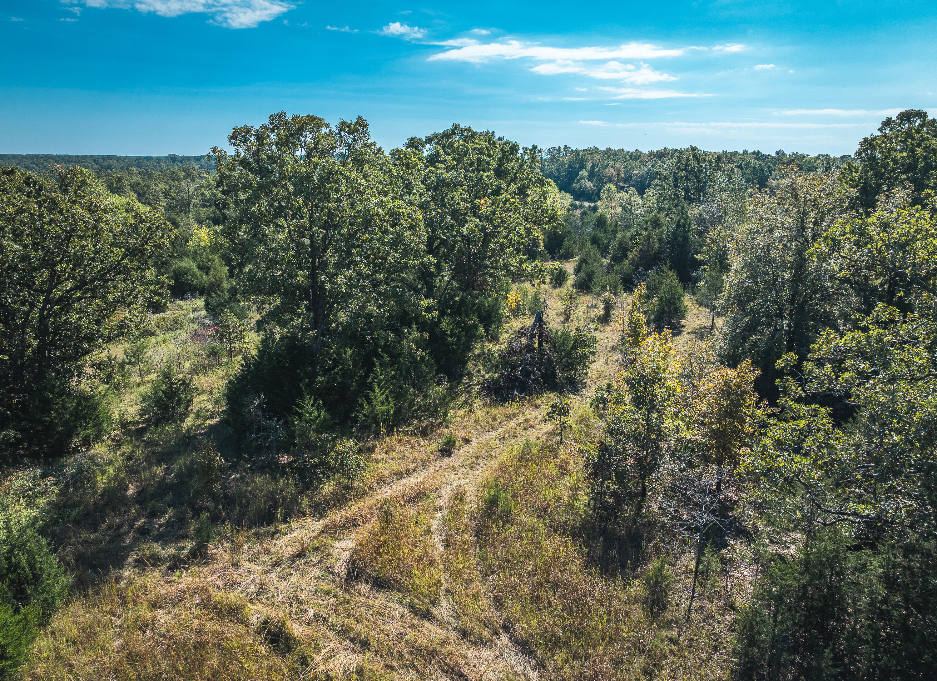 Photo 7 - Land for sale – Lot 3  State Route J   Newburg, MO