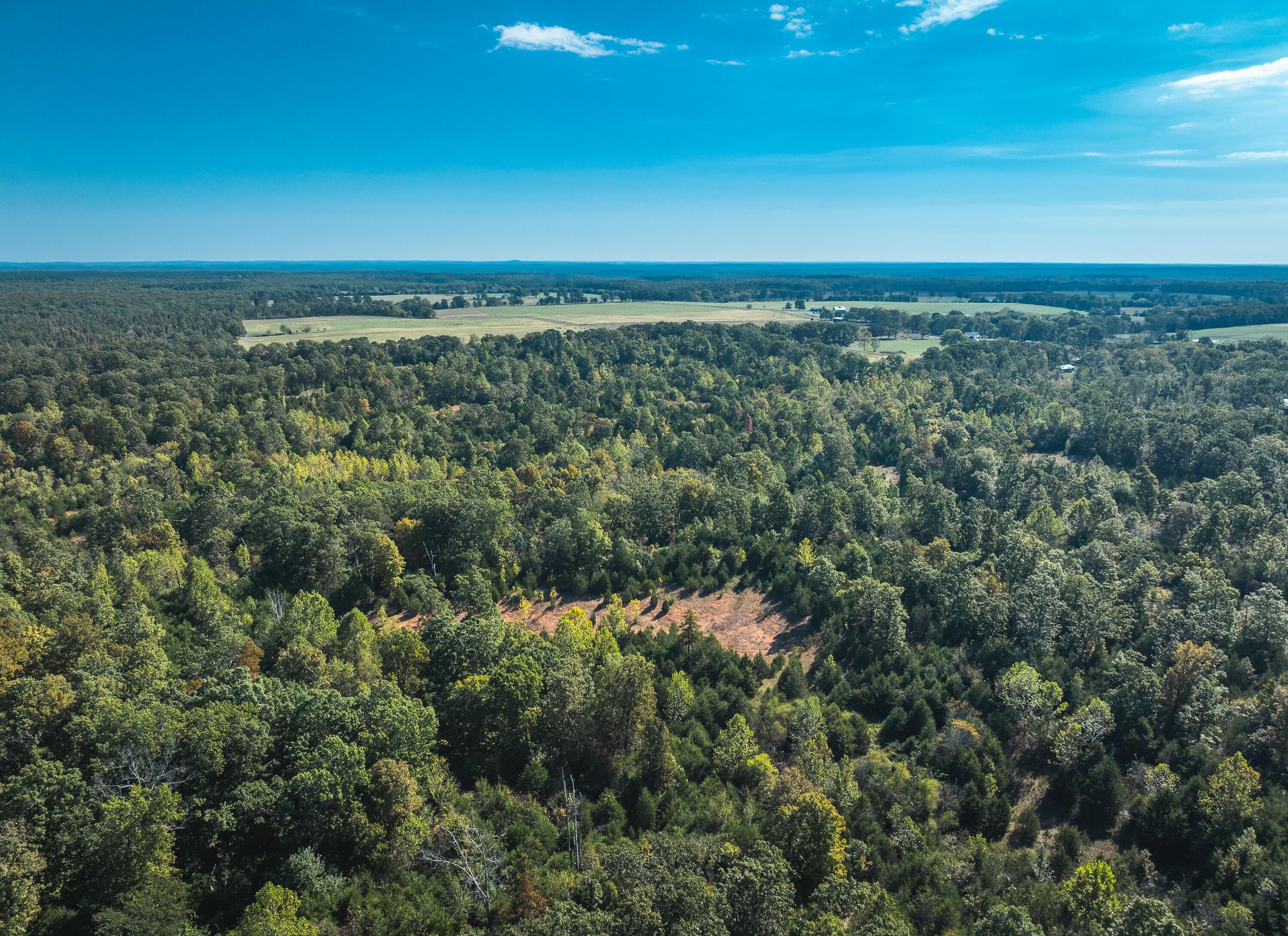 Photo 7 - Land for sale – Lot 4  Clementine Outer Road  Newburg, MO