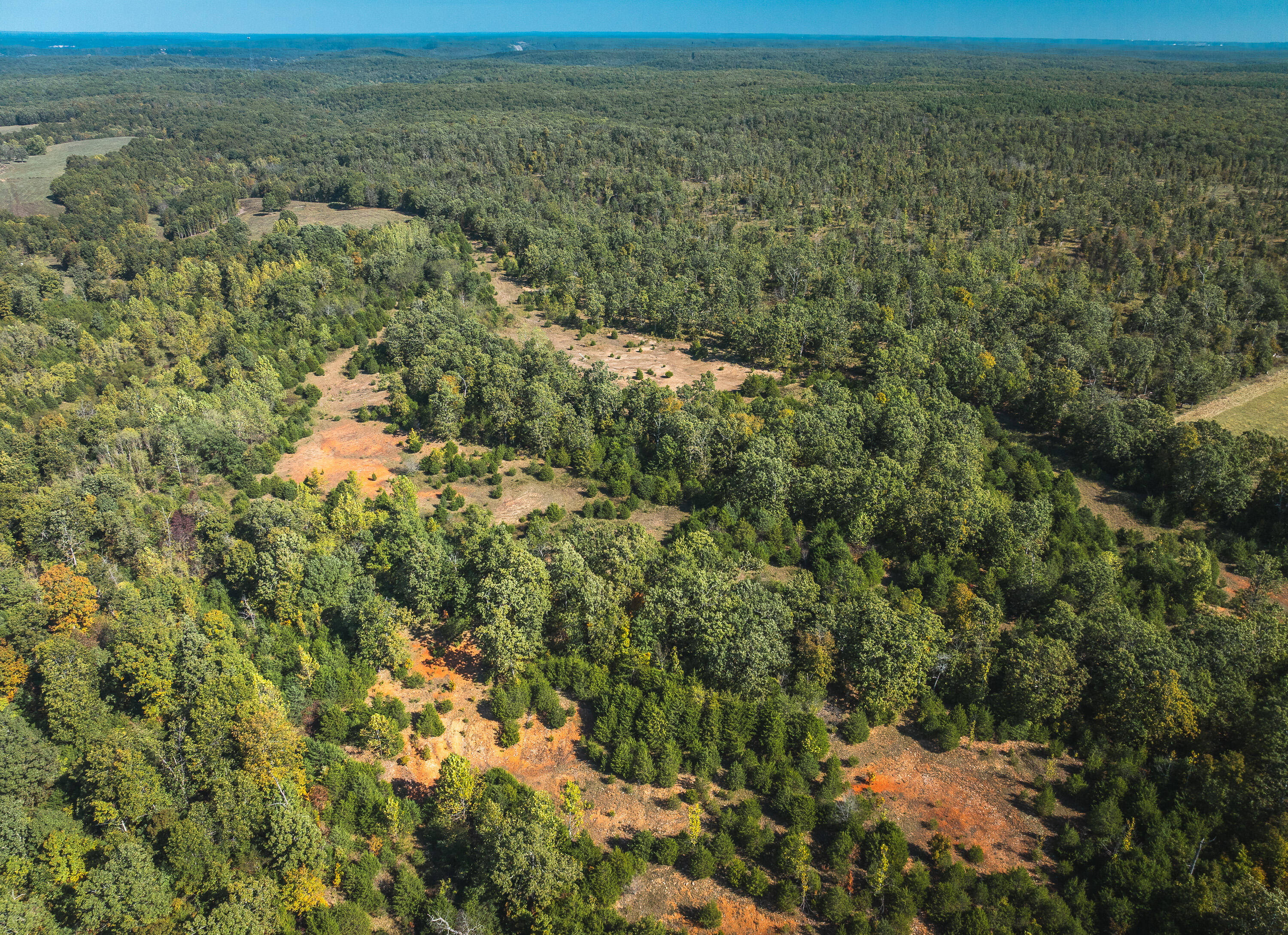 Photo 6 - Land for sale – Lot 4  Clementine Outer Road  Newburg, MO