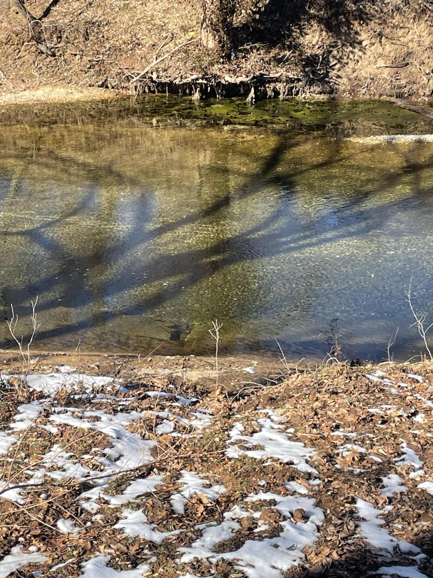 Photo 9 - Land for sale – Lot 10  Cottage Brook Circle  Anderson, MO