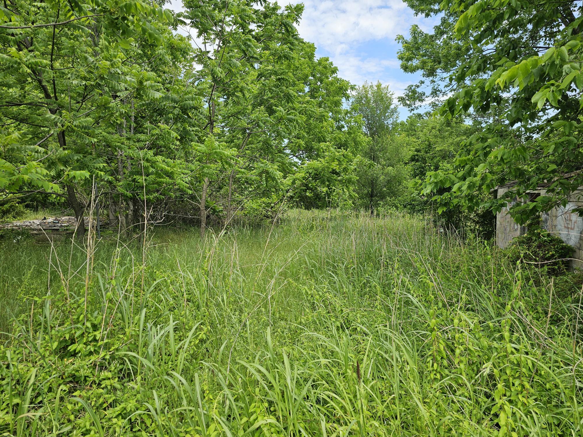 Photo 4 - Land for sale – 000  State Highway K   Everton, MO