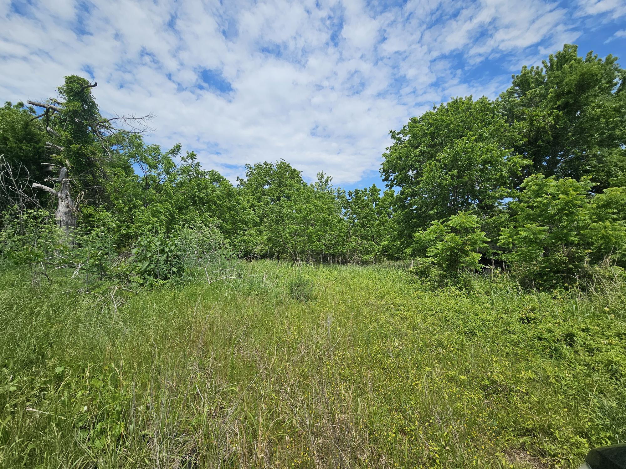 Photo 5 - Land for sale – 000  State Highway K   Everton, MO