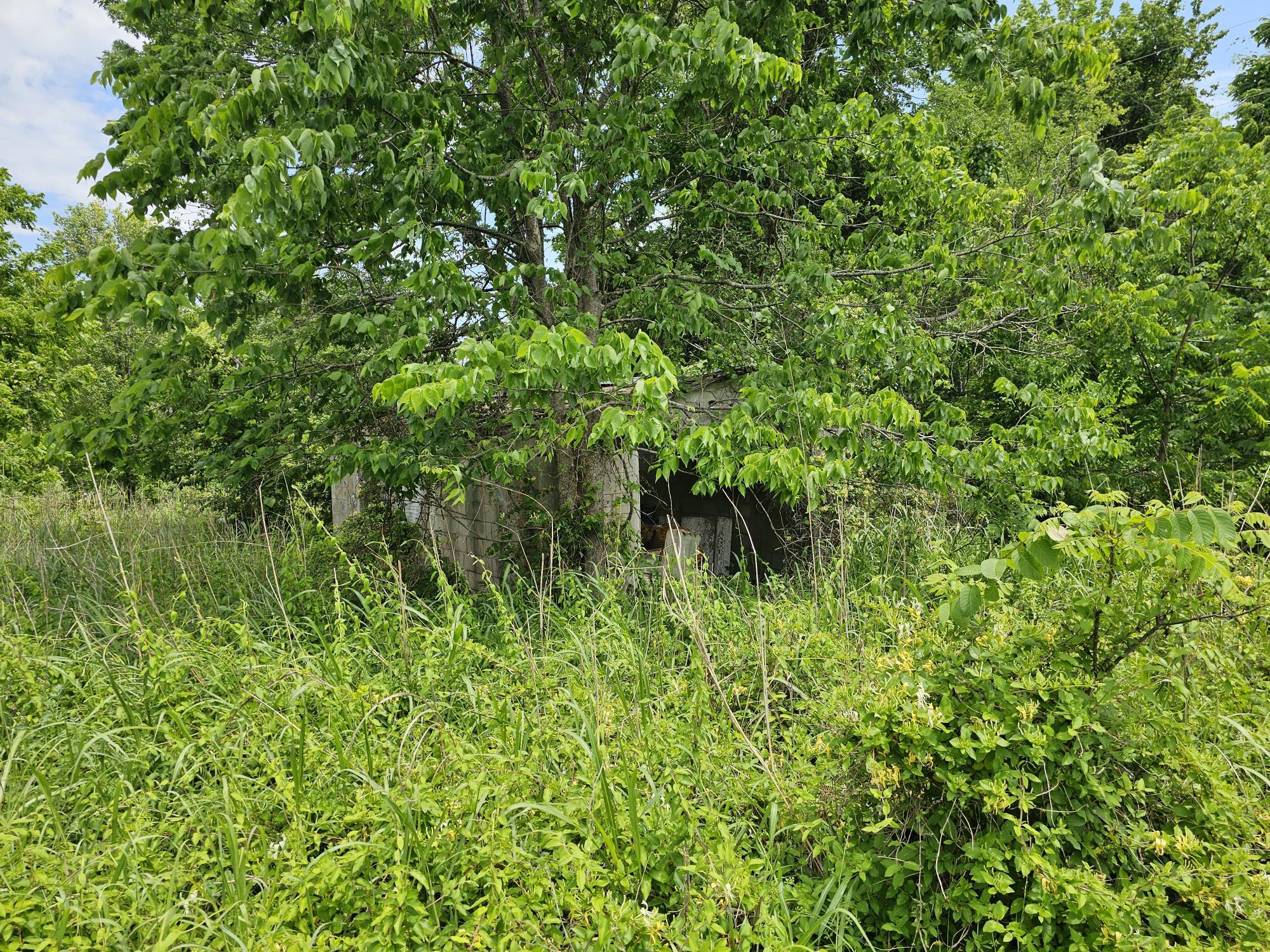 Photo 2 - Land for sale – 000  State Highway K   Everton, MO