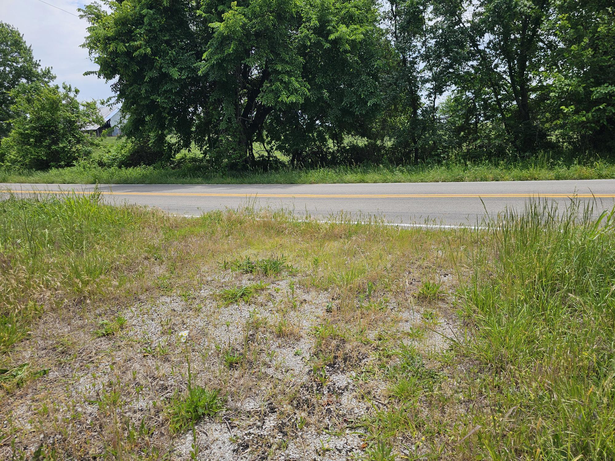 Photo 6 - Land for sale – 000  State Highway K   Everton, MO