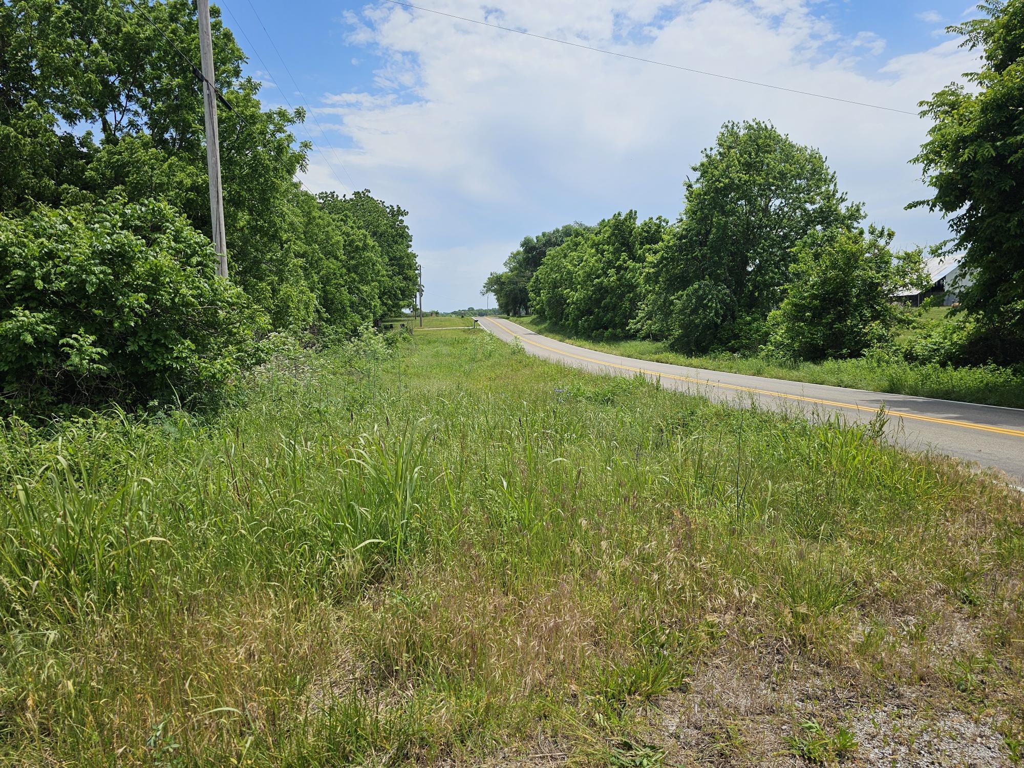 Photo 8 - Land for sale – 000  State Highway K   Everton, MO