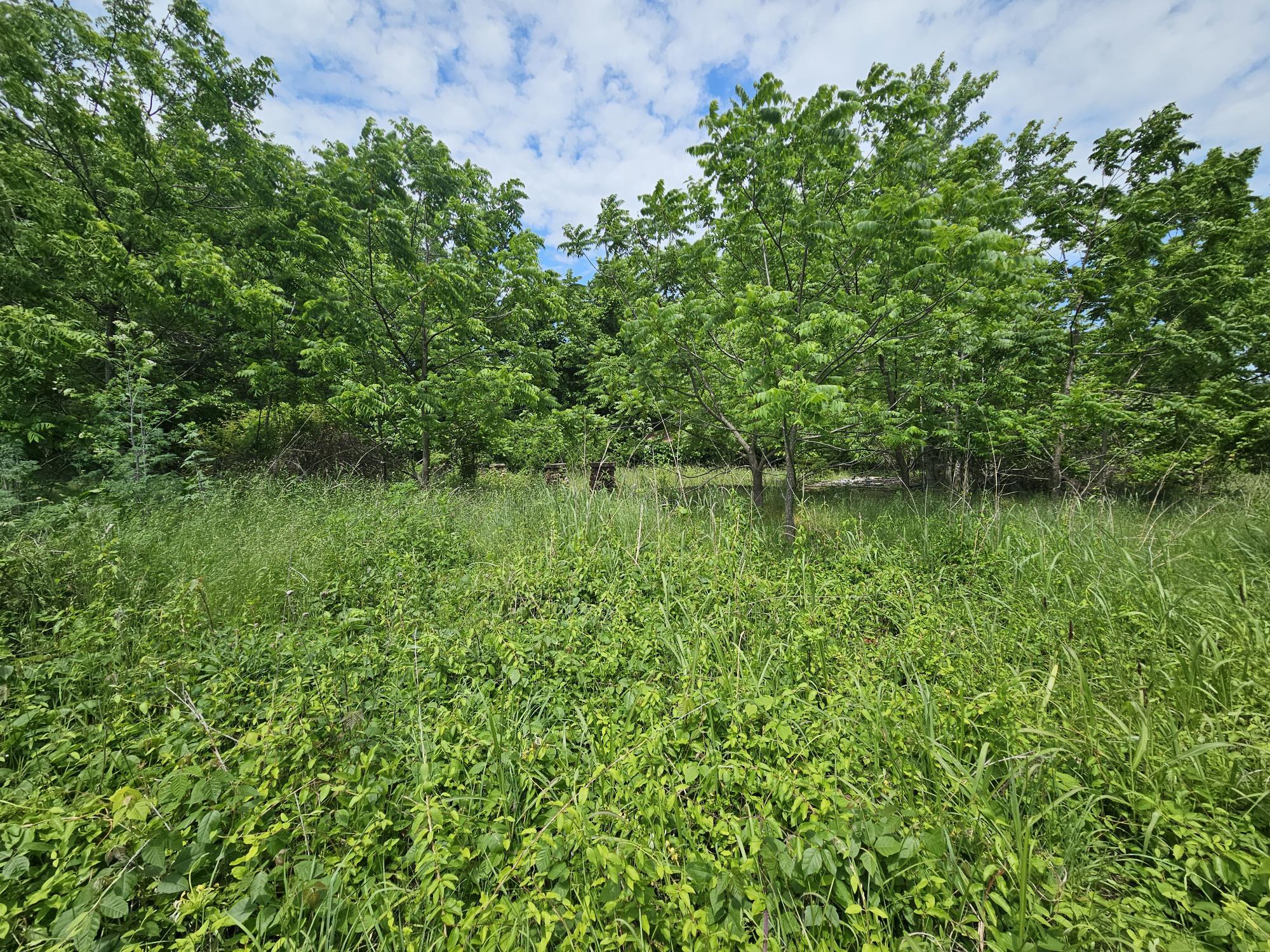 Land for sale – 000  State Highway K   Everton, MO