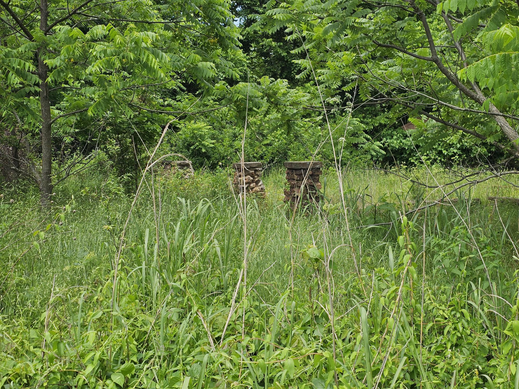 Photo 3 - Land for sale – 000  State Highway K   Everton, MO