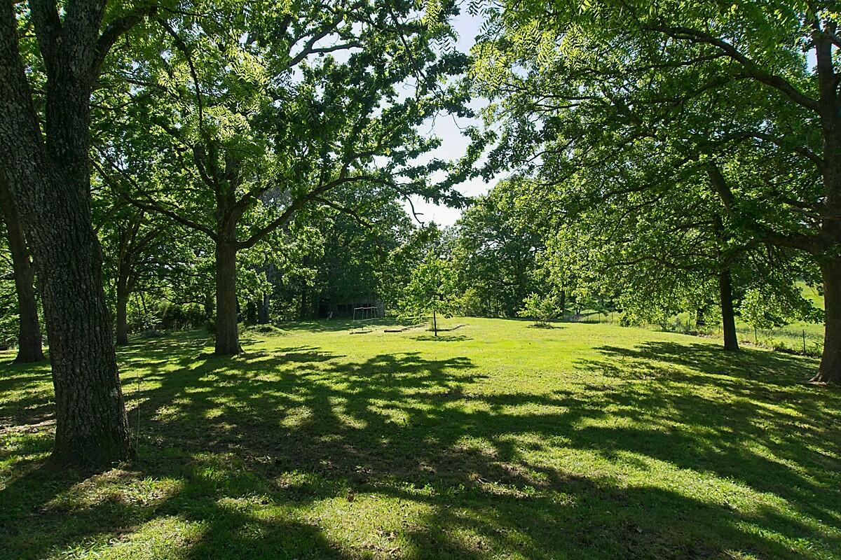 Photo 8 - Residential for sale – 75  County Road 863   Isabella, MO
