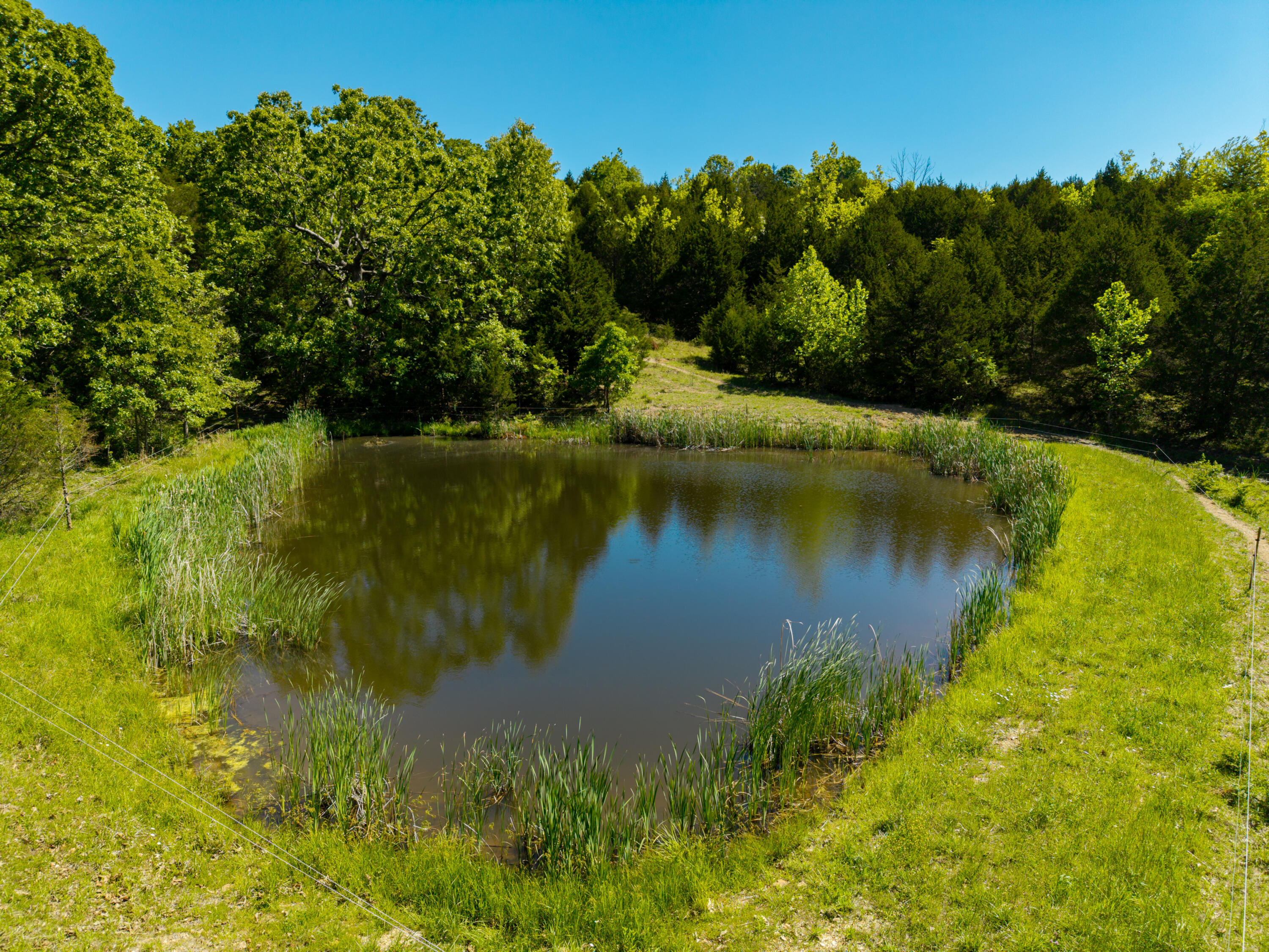 Photo 54 - Farm for sale – 000  St Highway 38   Hartville, MO