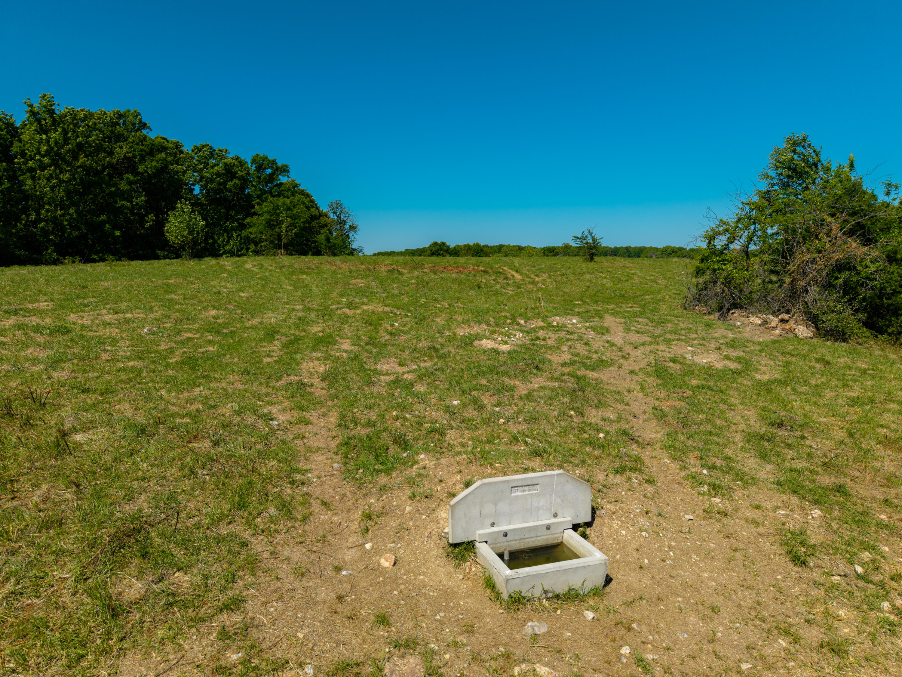 Photo 57 - Farm for sale – 000  St Highway 38   Hartville, MO