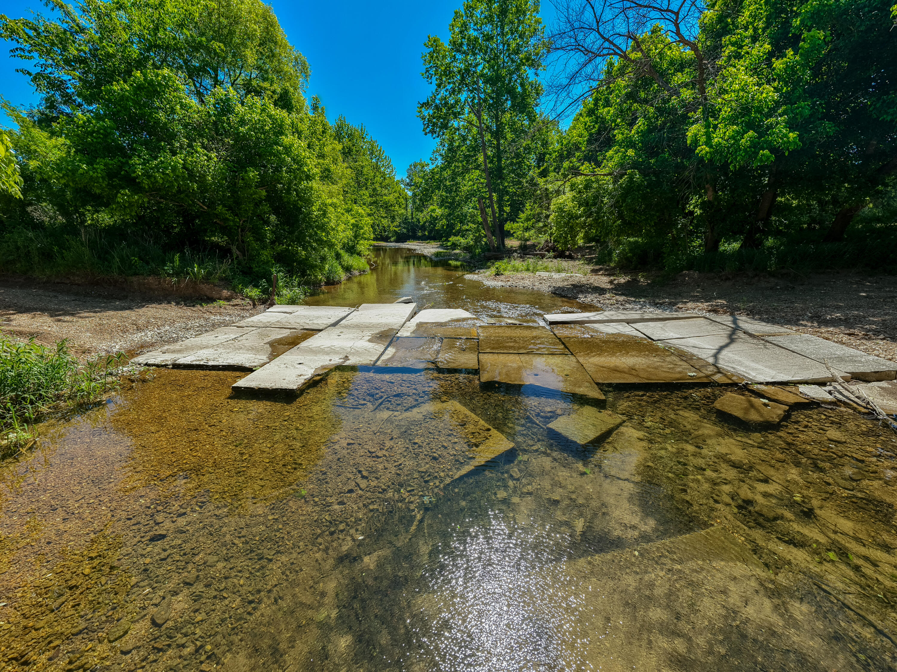 Photo 61 - Farm for sale – 000  St Highway 38   Hartville, MO
