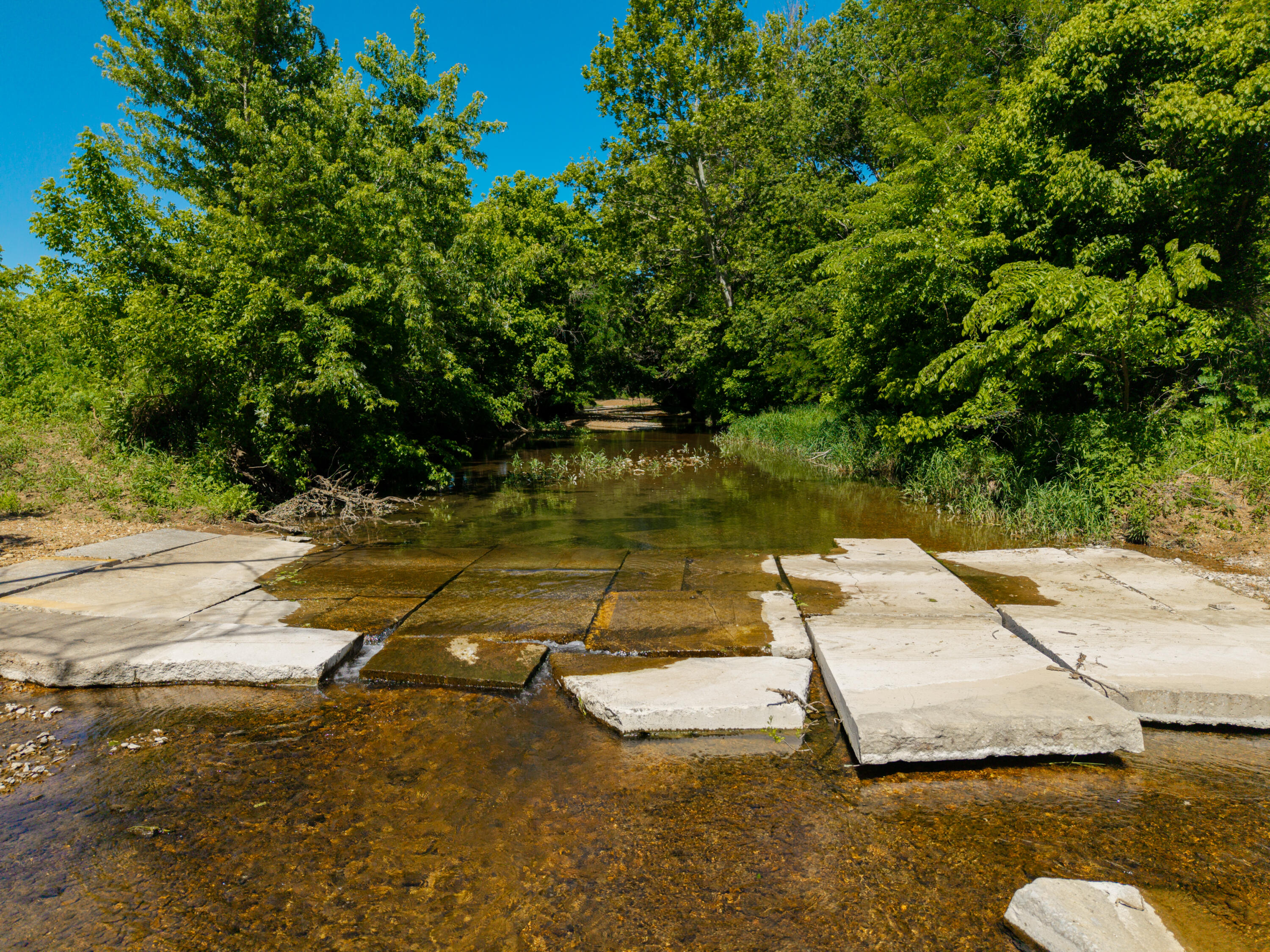 Photo 60 - Farm for sale – 000  St Highway 38   Hartville, MO
