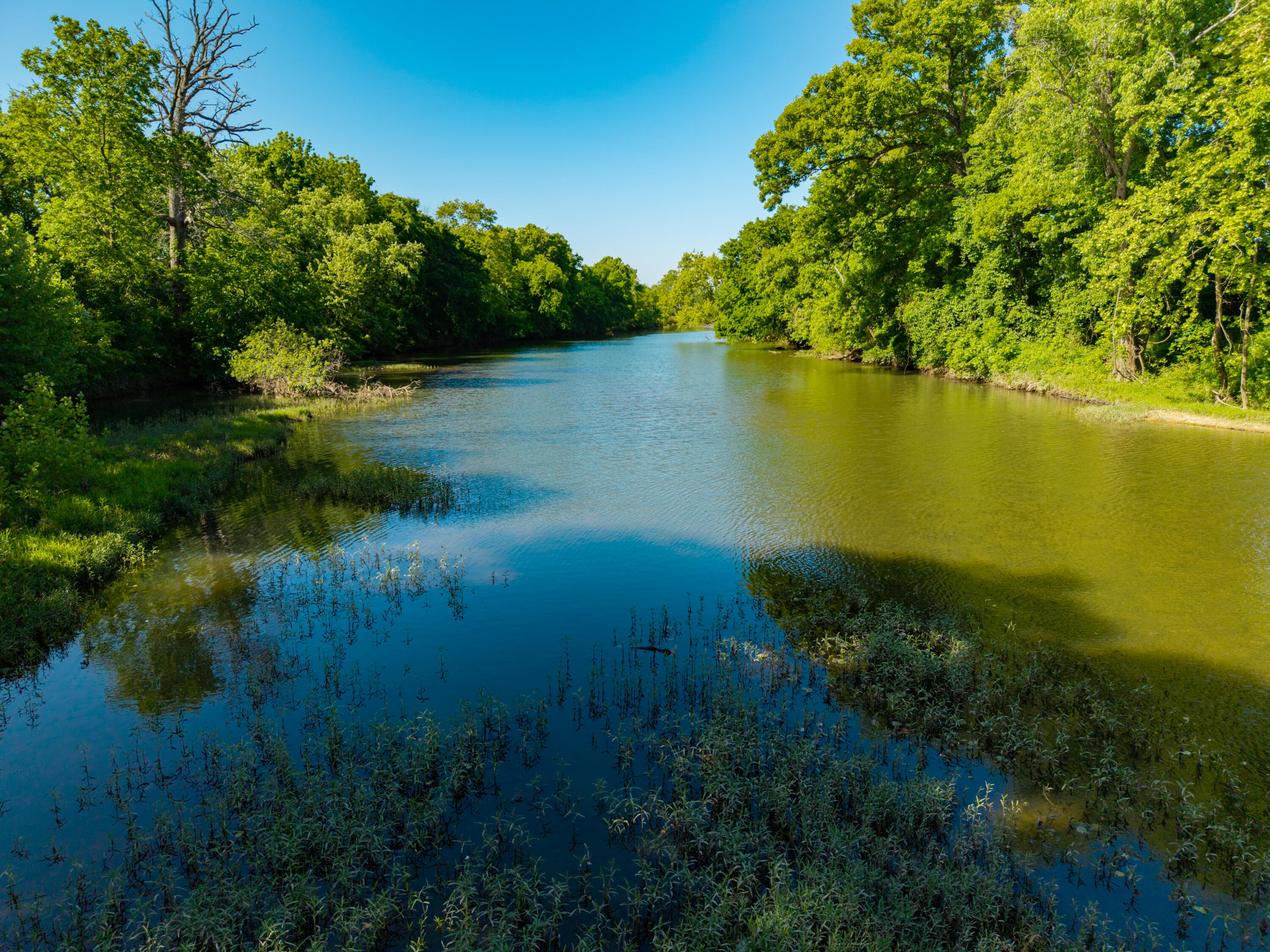 Photo 18 - Farm for sale – 000  St Highway 38   Hartville, MO