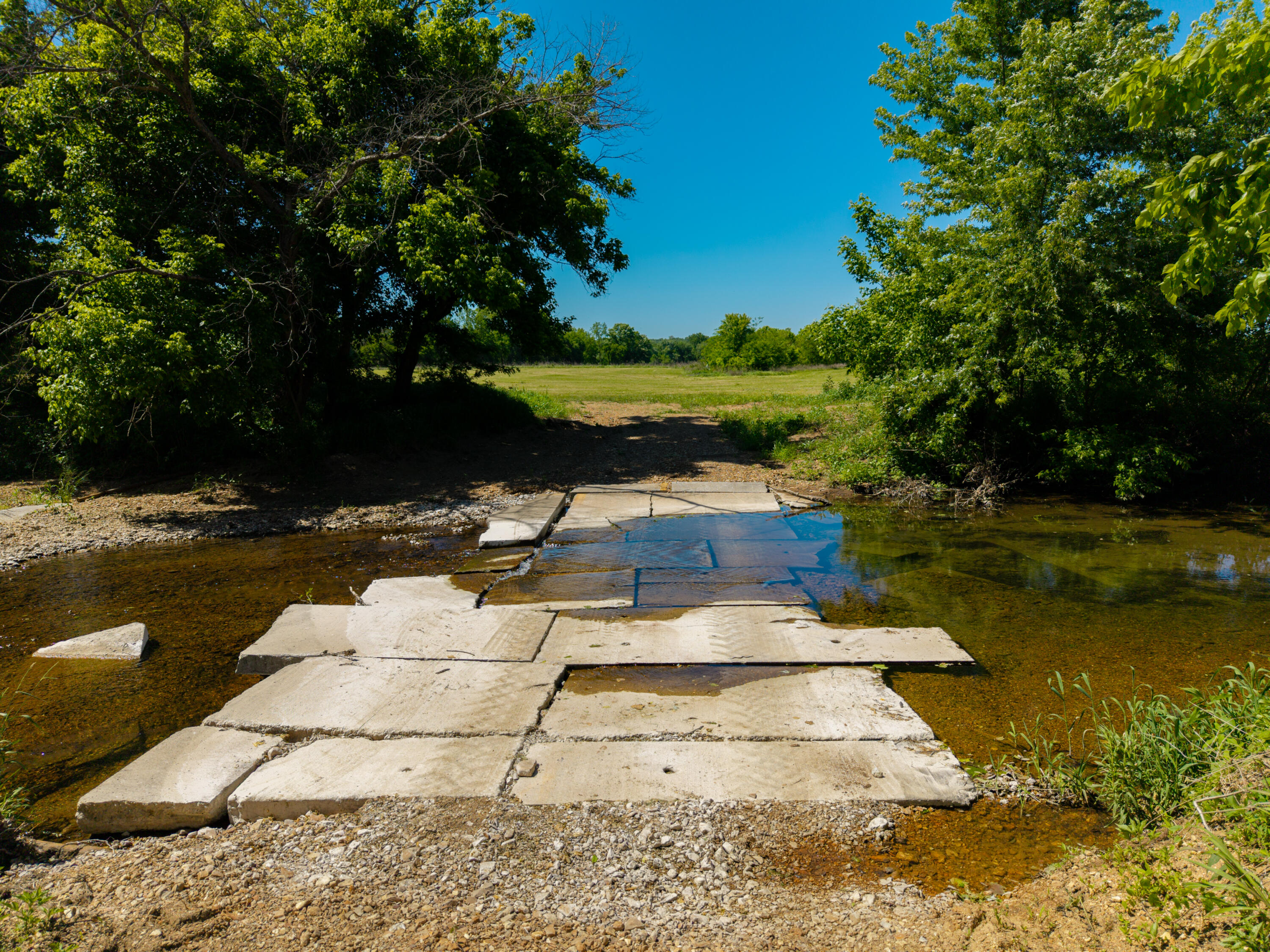 Photo 59 - Farm for sale – 000  St Highway 38   Hartville, MO