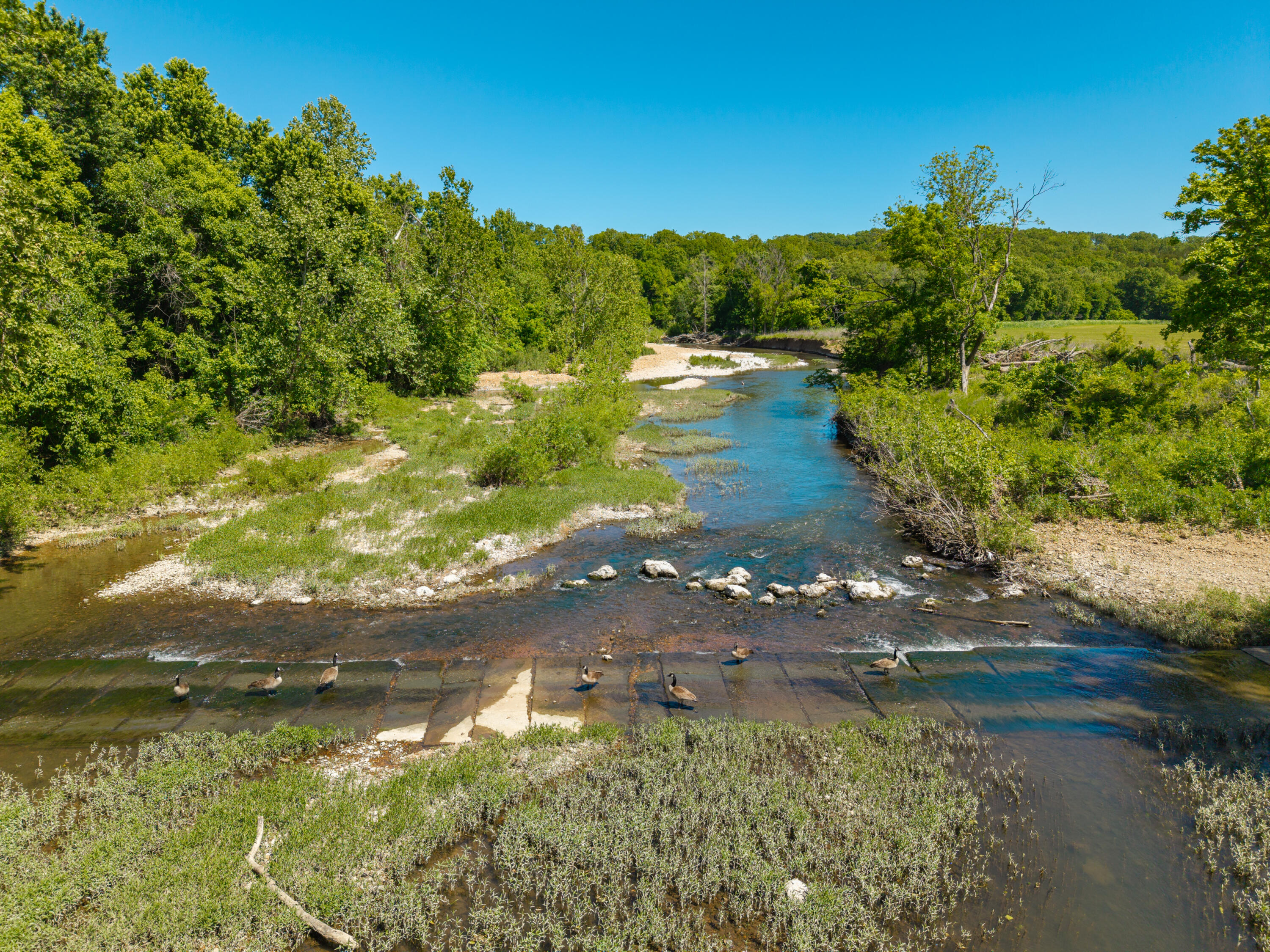 Photo 69 - Farm for sale – 000  St Highway 38   Hartville, MO