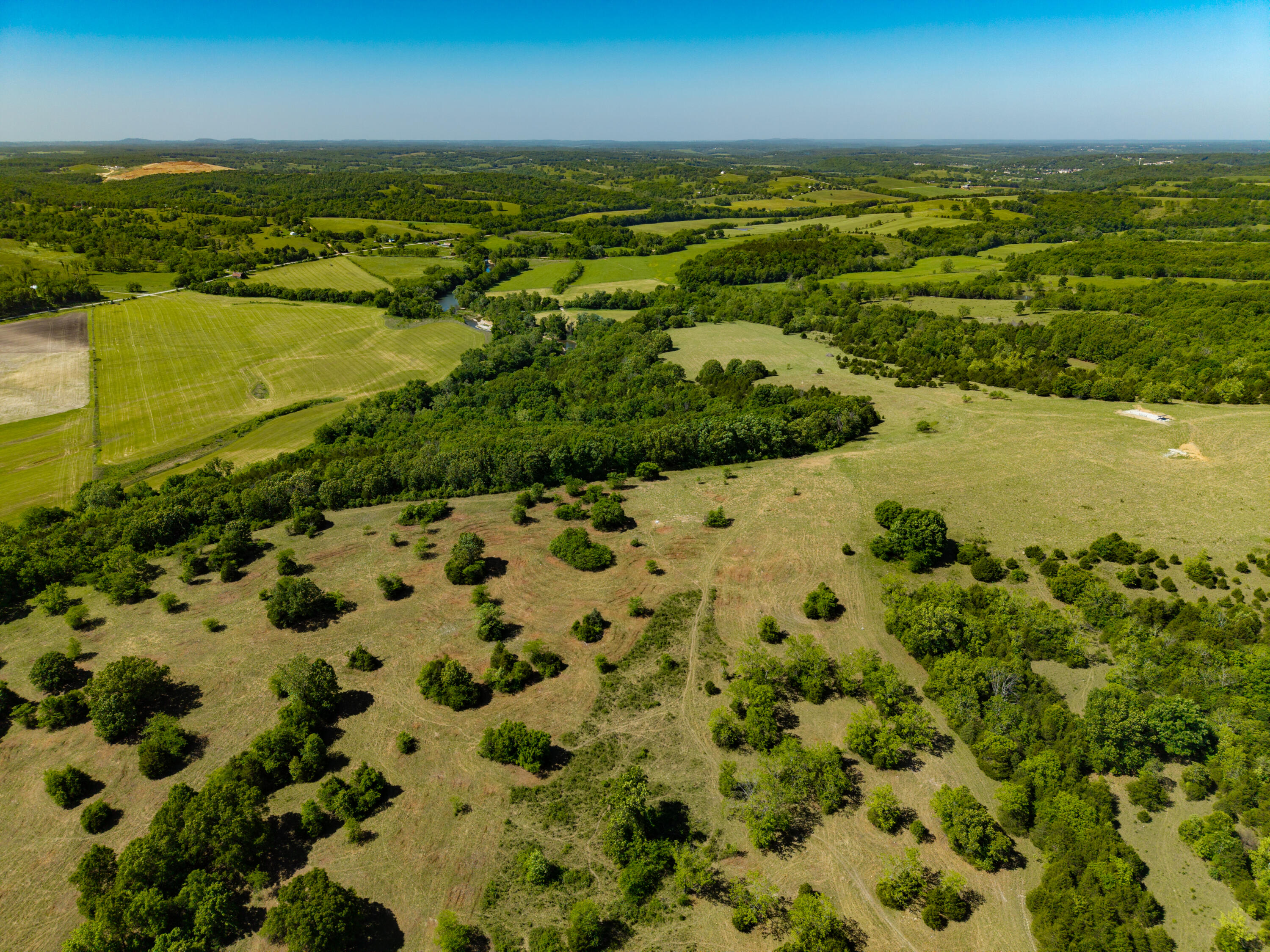 Photo 46 - Farm for sale – 000  St Highway 38   Hartville, MO