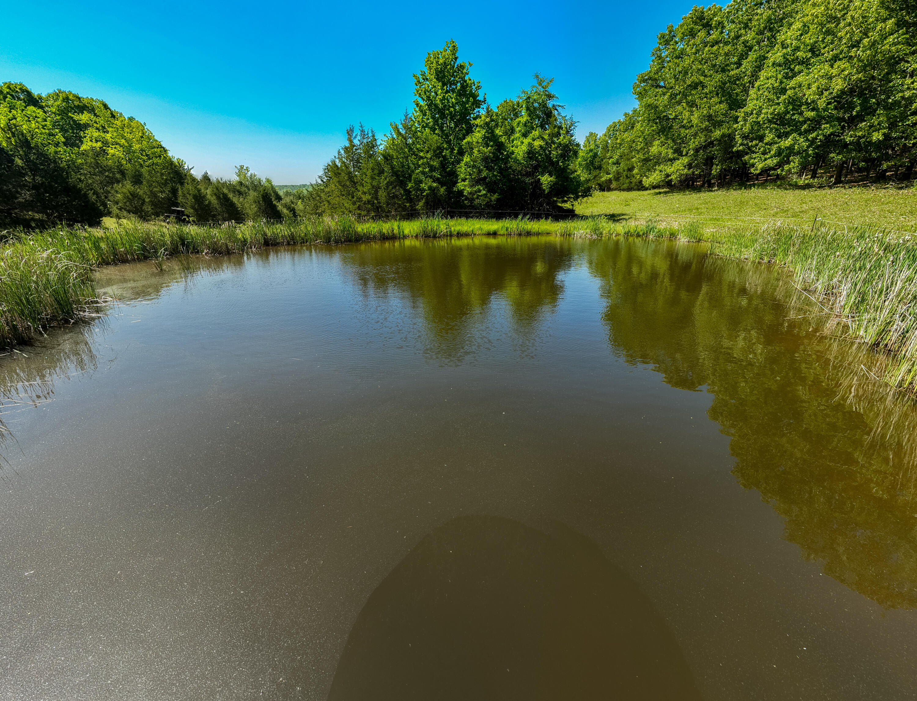 Photo 55 - Farm for sale – 000  St Highway 38   Hartville, MO
