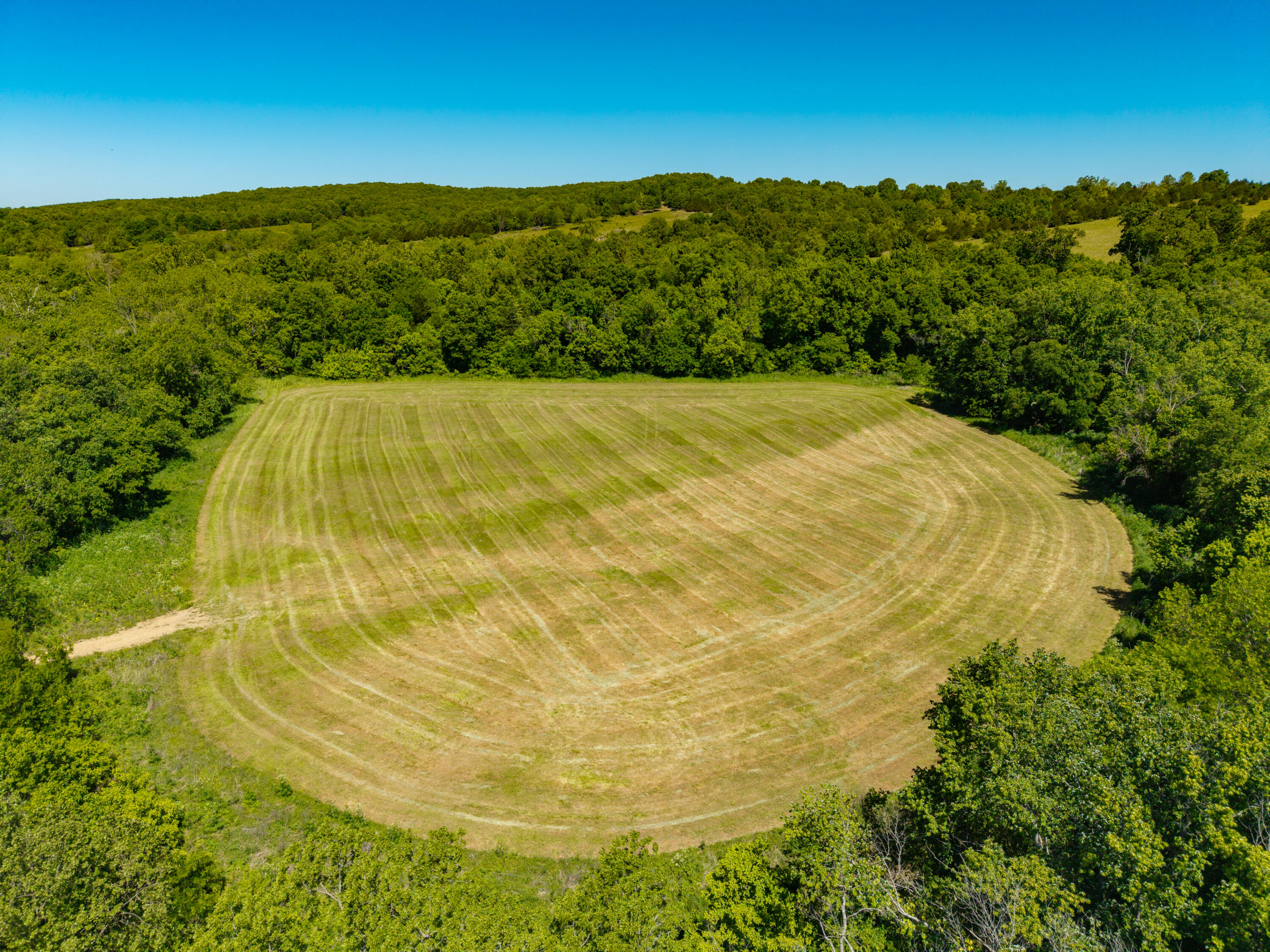 Photo 70 - Farm for sale – 000  St Highway 38   Hartville, MO