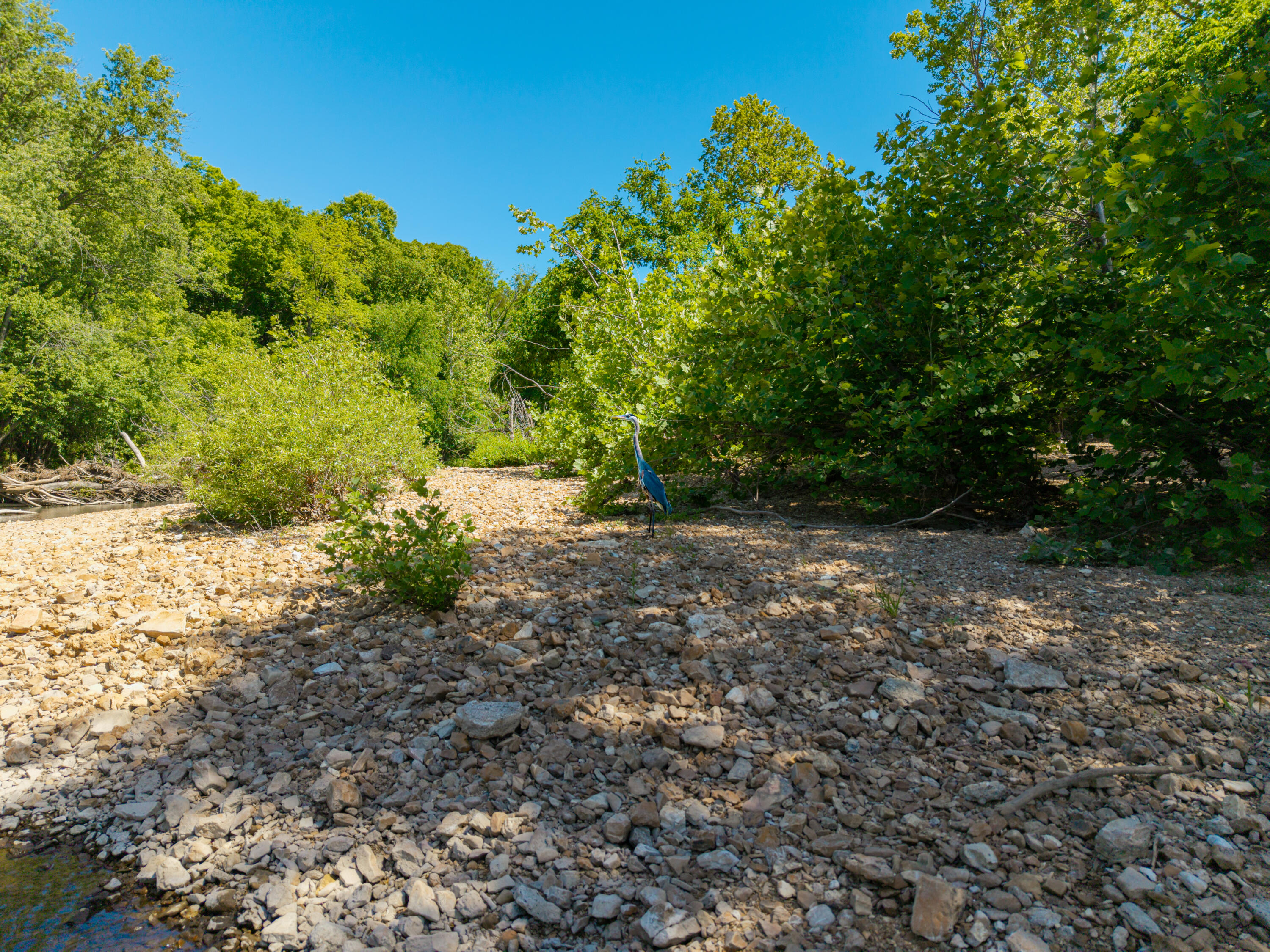 Photo 68 - Farm for sale – 000  St Highway 38   Hartville, MO