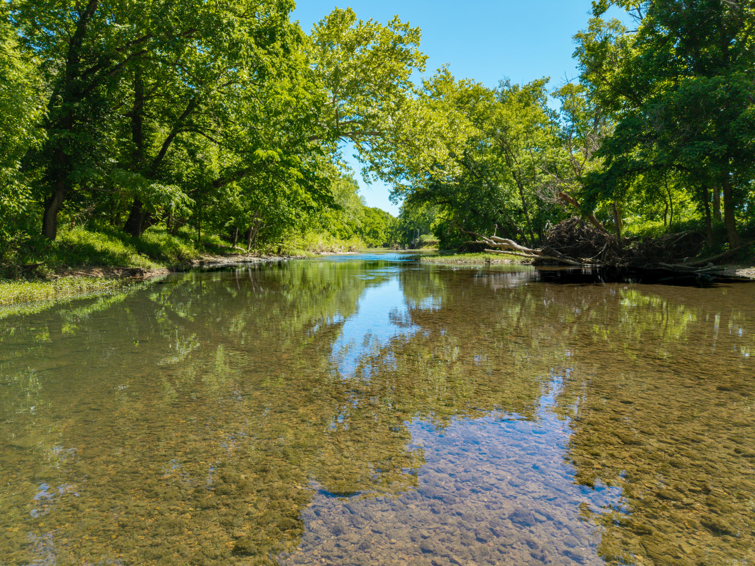 Photo 67 - Farm for sale – 000  St Highway 38   Hartville, MO