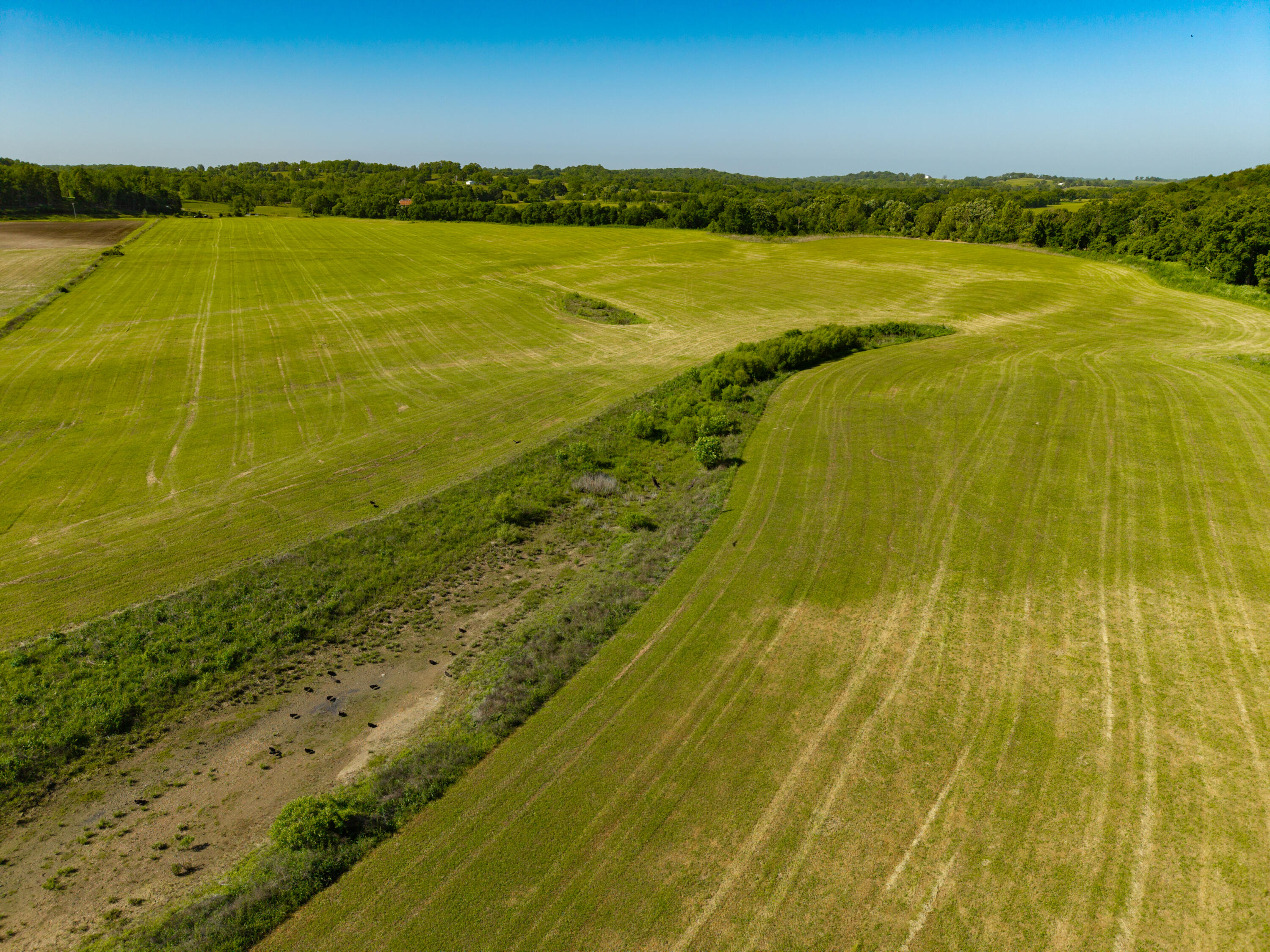 Photo 25 - Farm for sale – 000  St Highway 38   Hartville, MO
