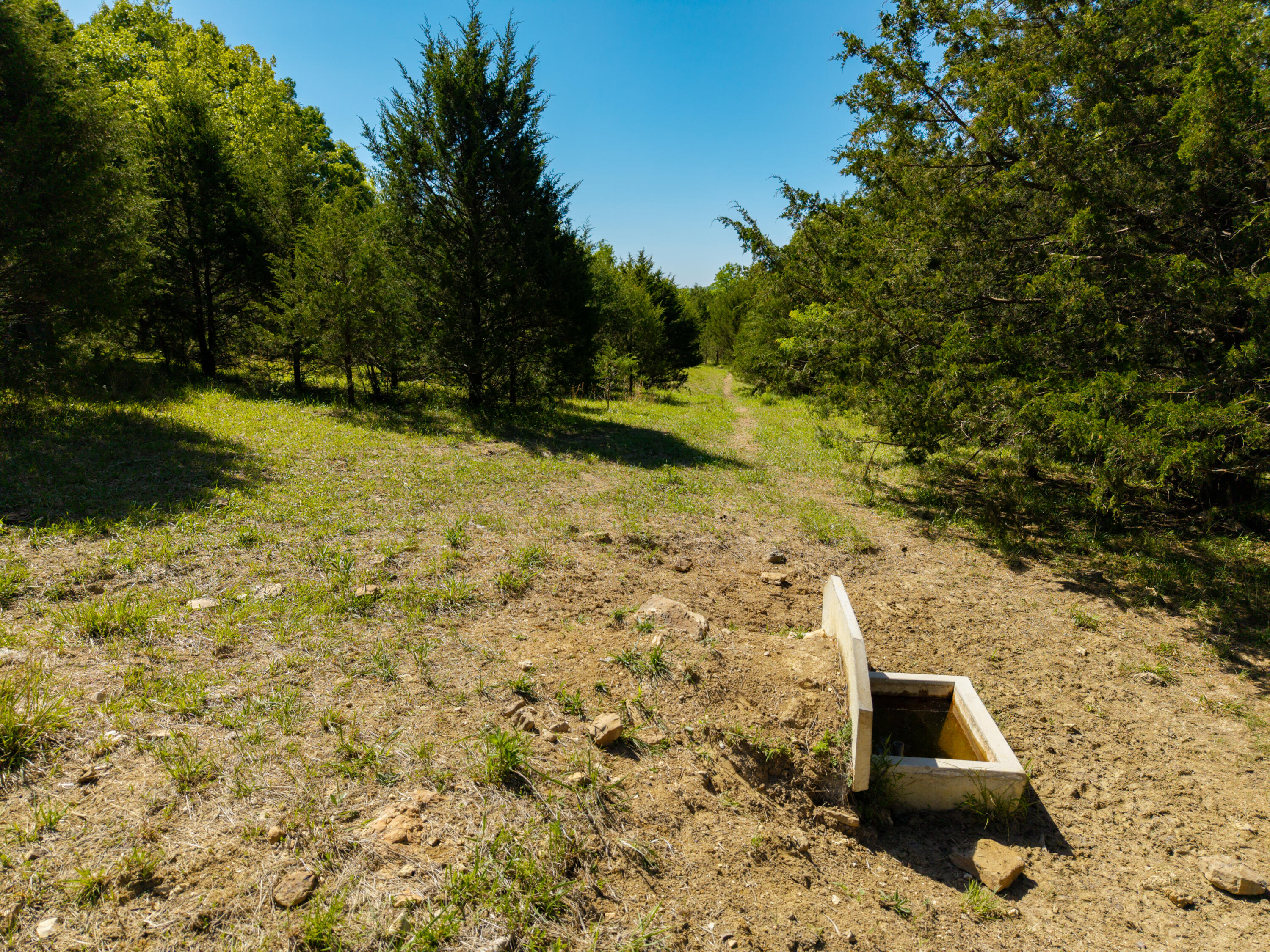 Photo 55 - Land for sale – 000  St Highway 38   Hartville, MO