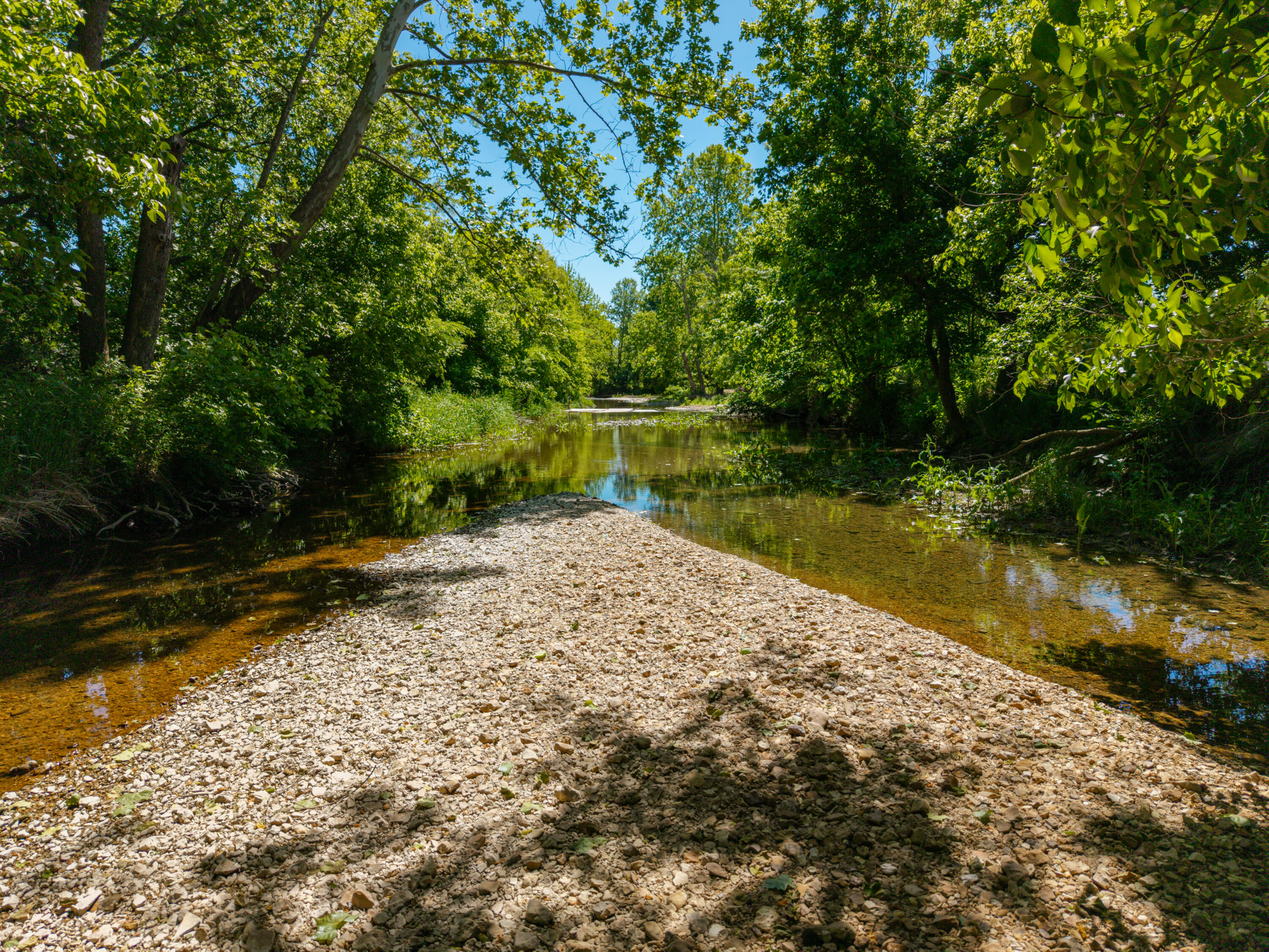 Photo 61 - Land for sale – 000  St Highway 38   Hartville, MO
