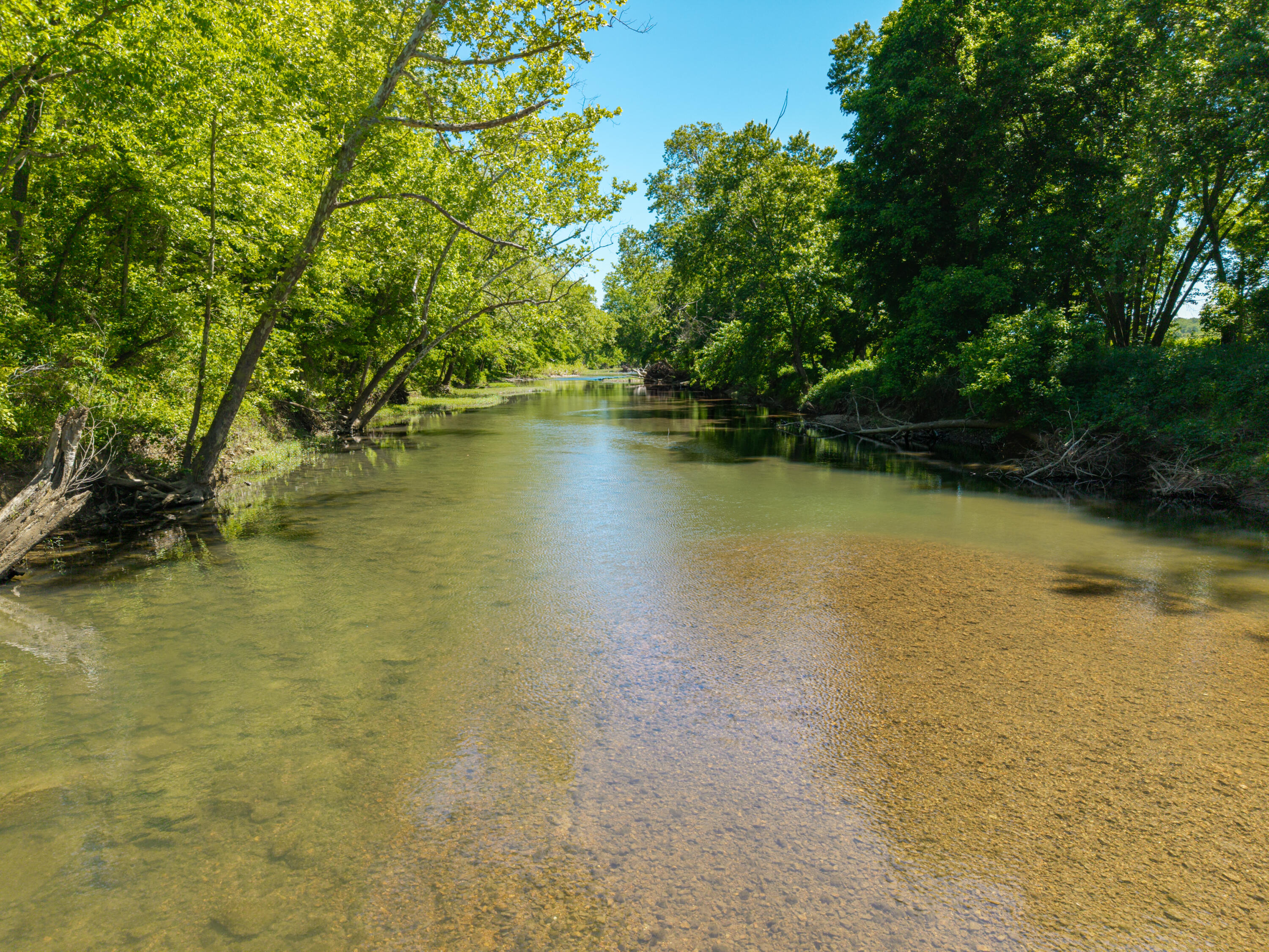 Photo 65 - Land for sale – 000  St Highway 38   Hartville, MO