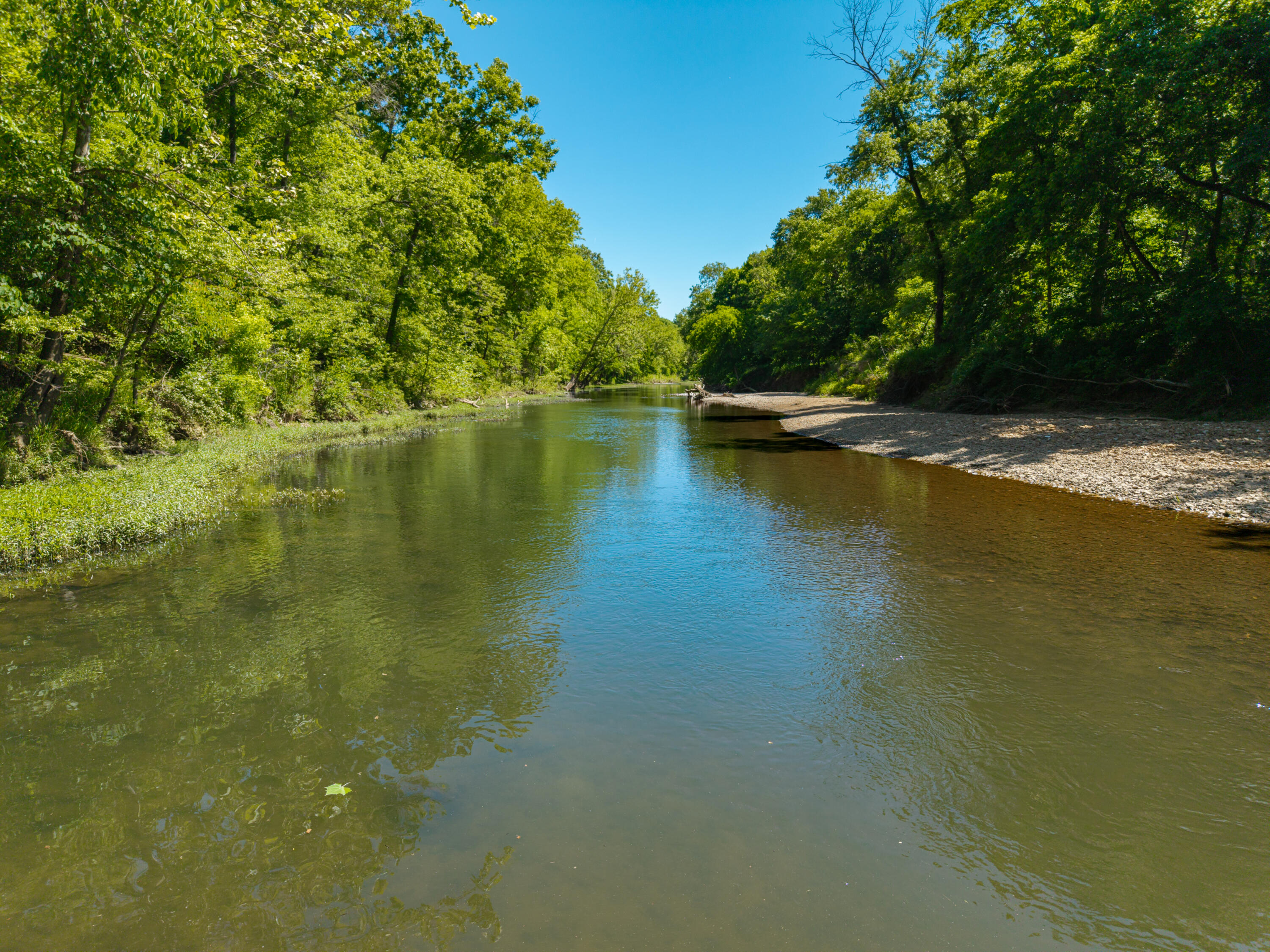 Photo 64 - Land for sale – 000  St Highway 38   Hartville, MO