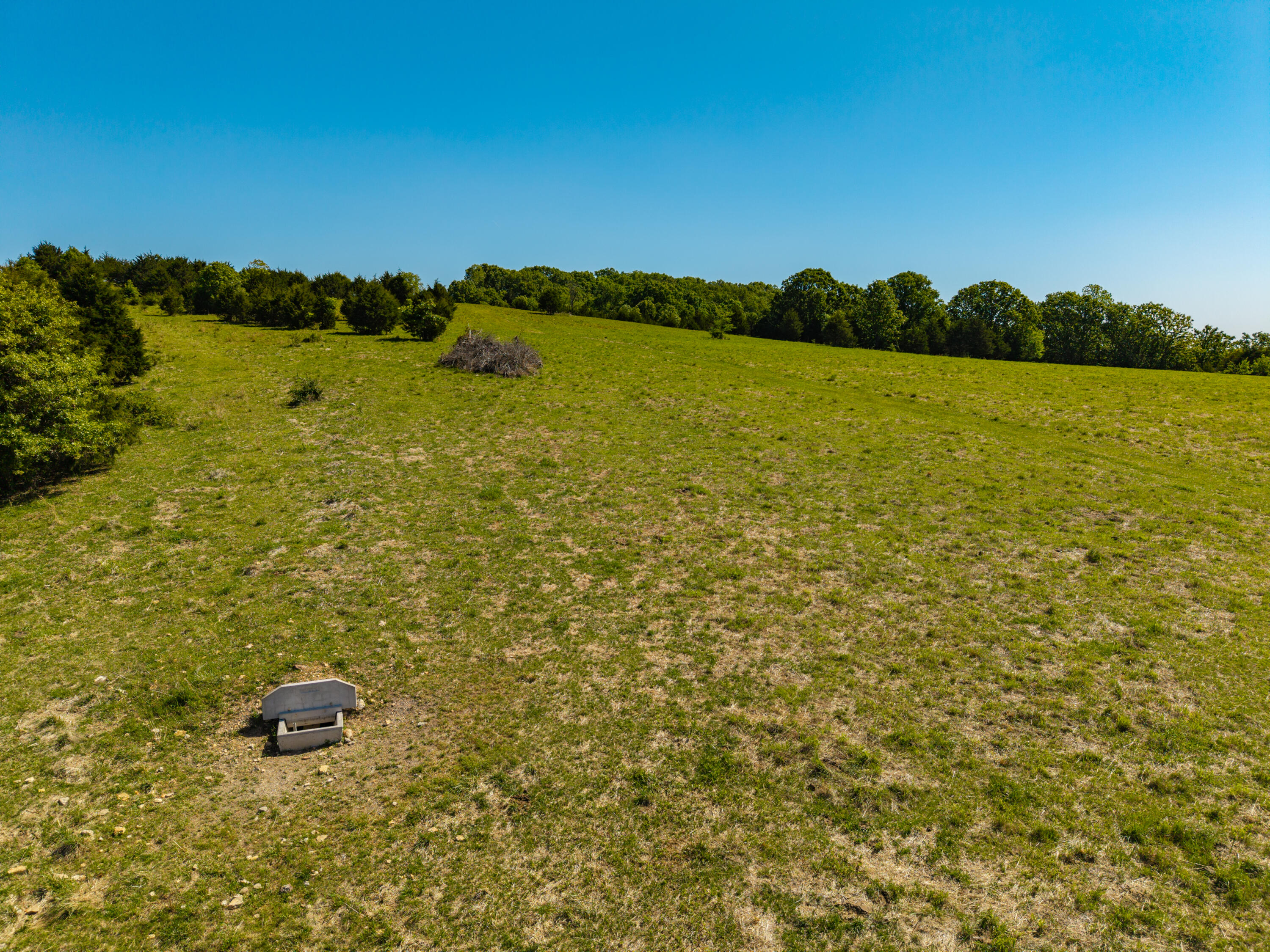 Photo 36 - Land for sale – 000  St Highway 38   Hartville, MO