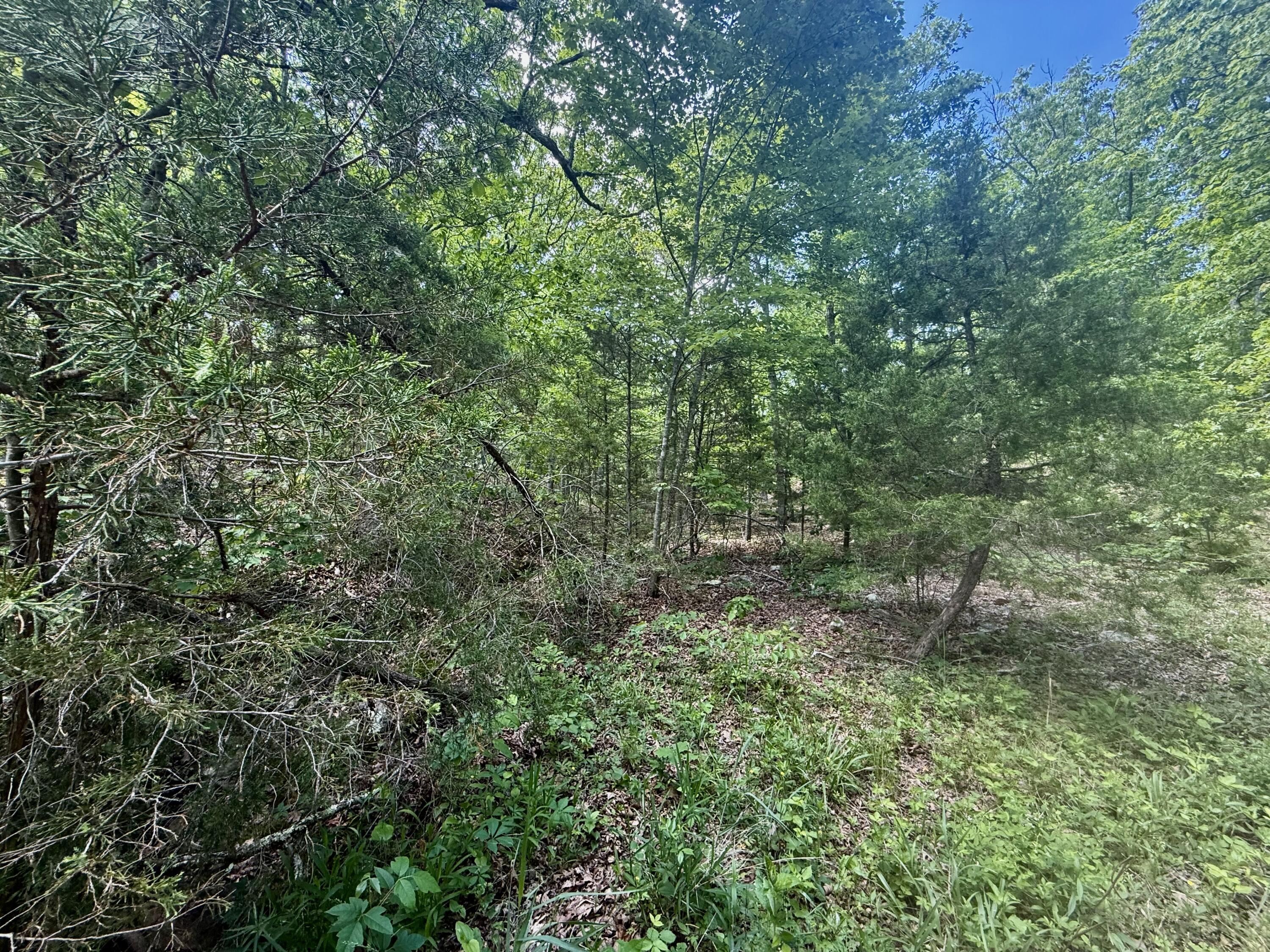 Photo 18 - Land for sale – 000  Bailey Road  Licking, MO