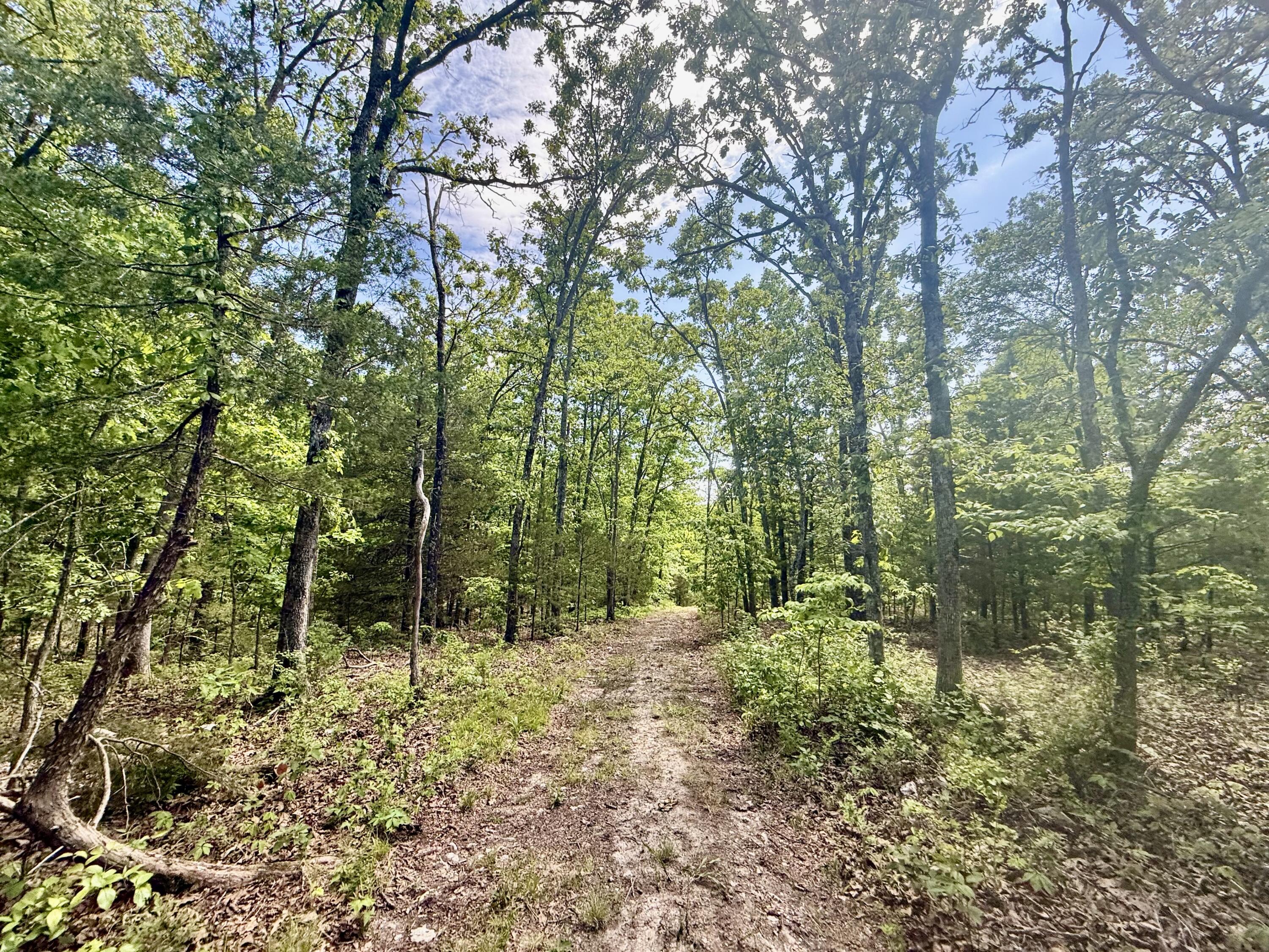 Photo 21 - Land for sale – 000  Bailey Road  Licking, MO