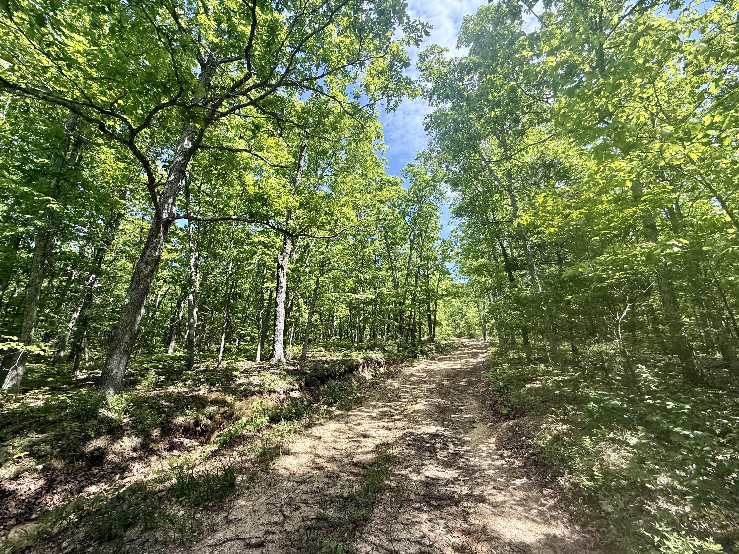 Land for sale – 000  Bailey Road  Licking, MO