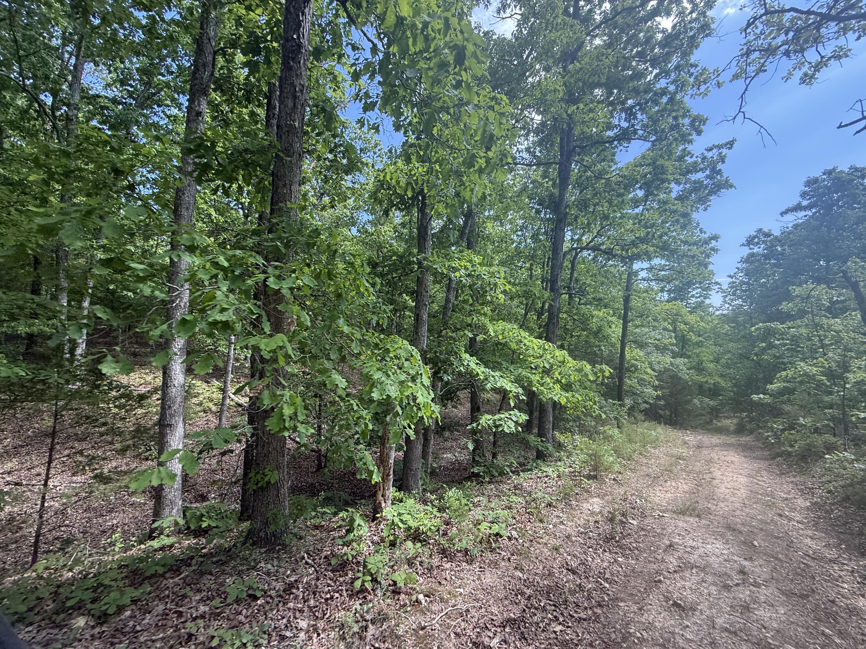 Photo 15 - Land for sale – 000  Bailey Road  Licking, MO