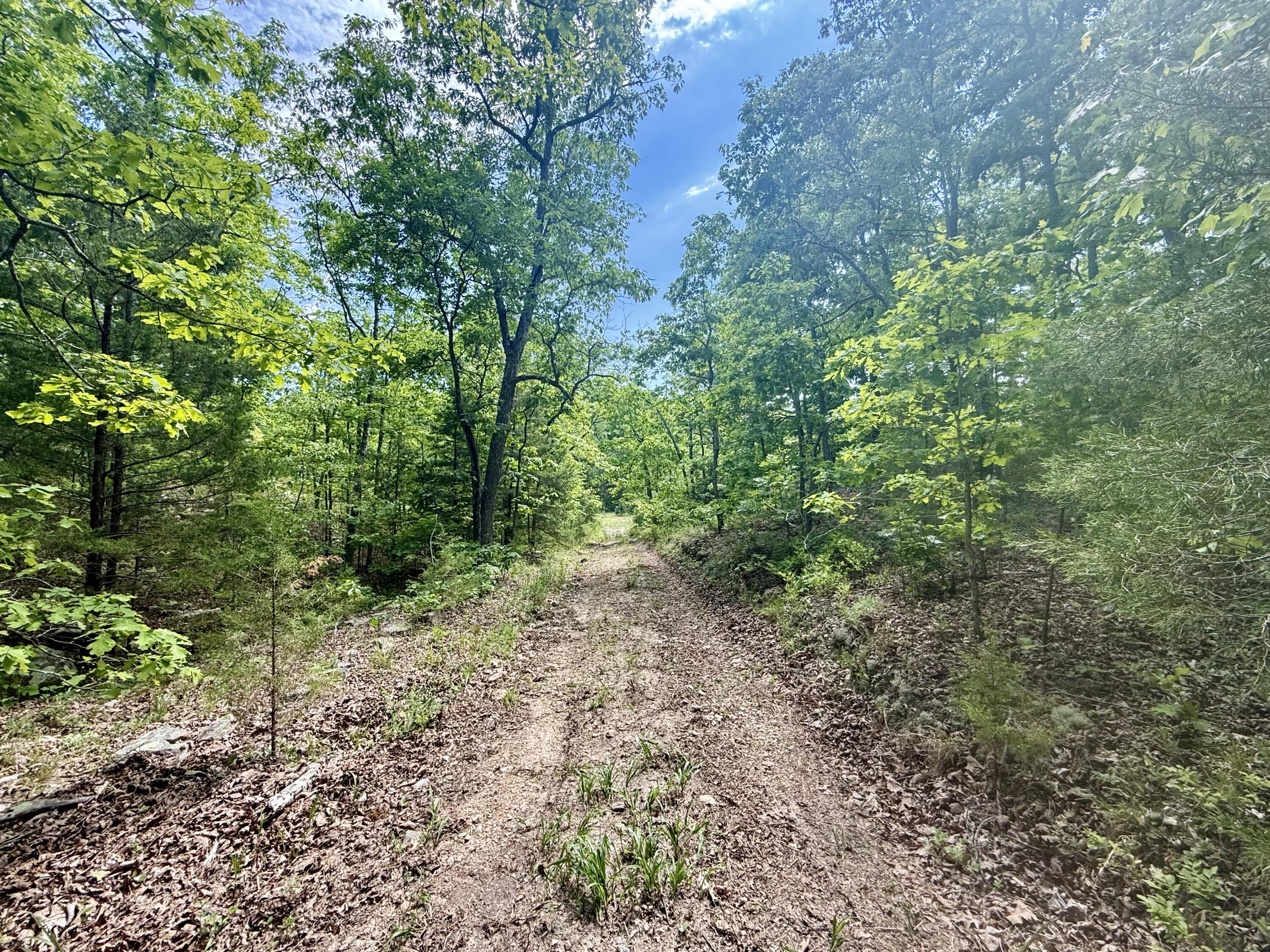 Photo 23 - Land for sale – 000  Bailey Road  Licking, MO