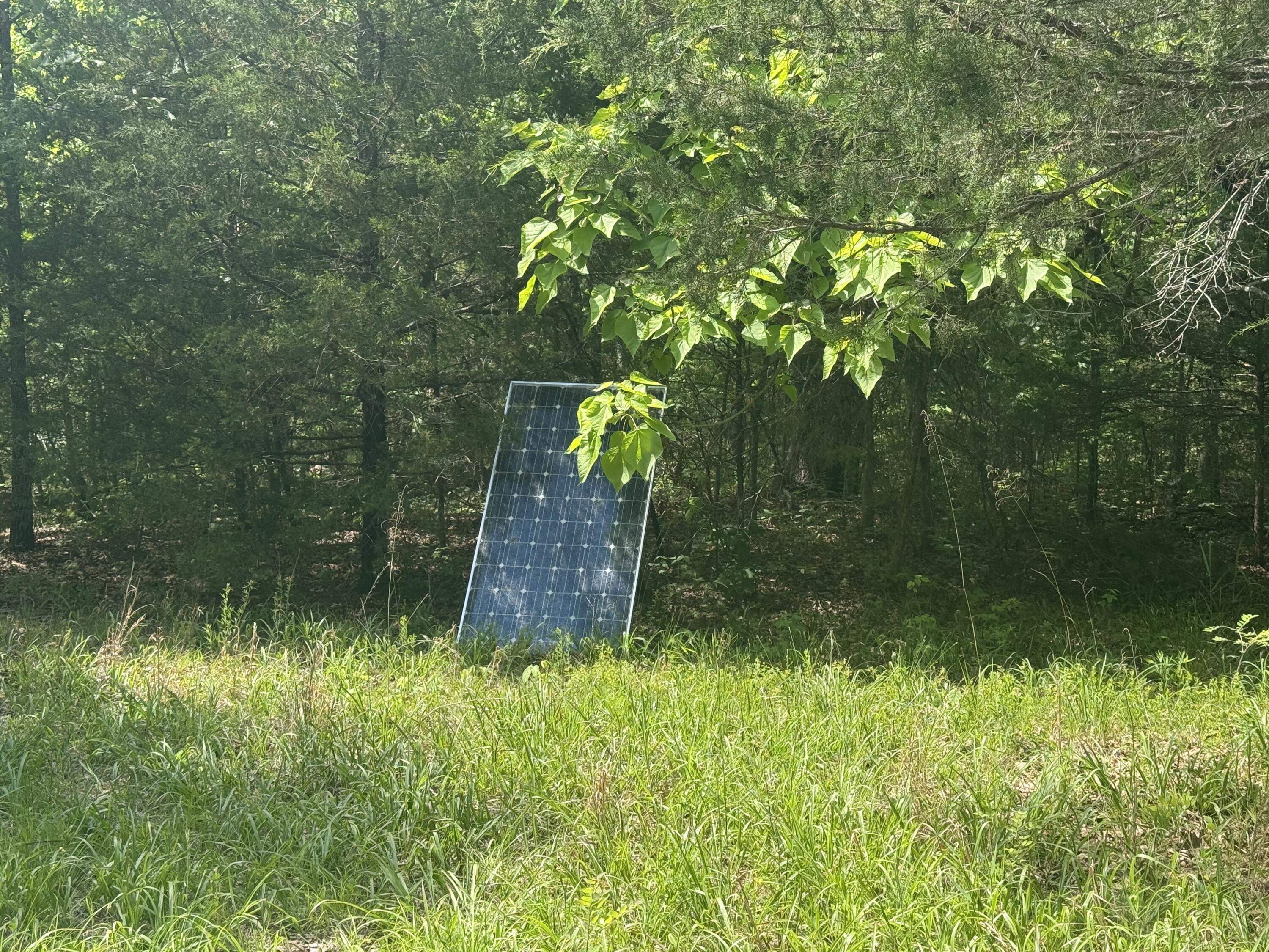 Photo 7 - Land for sale – 000  Bailey Road  Licking, MO