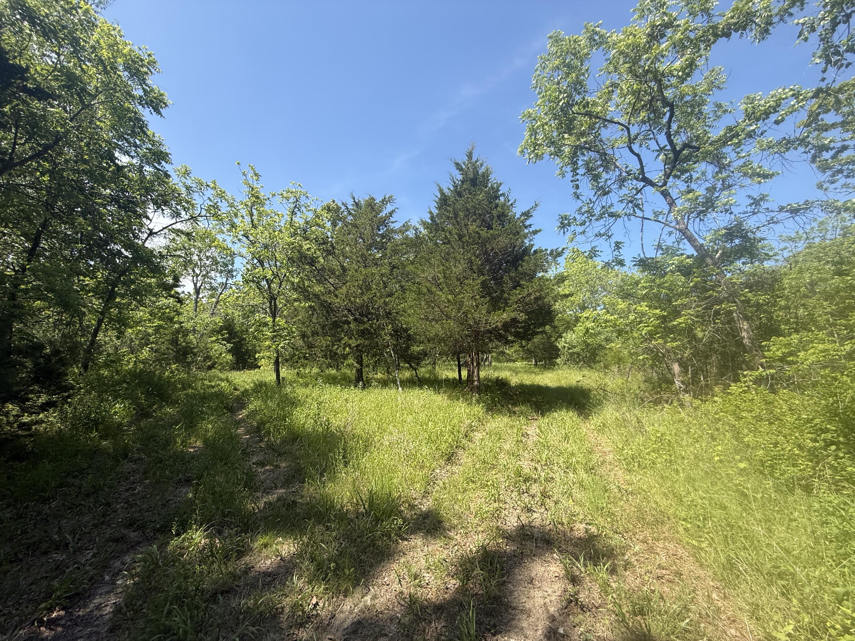 Photo 28 - Land for sale – 000  Bailey Road  Licking, MO