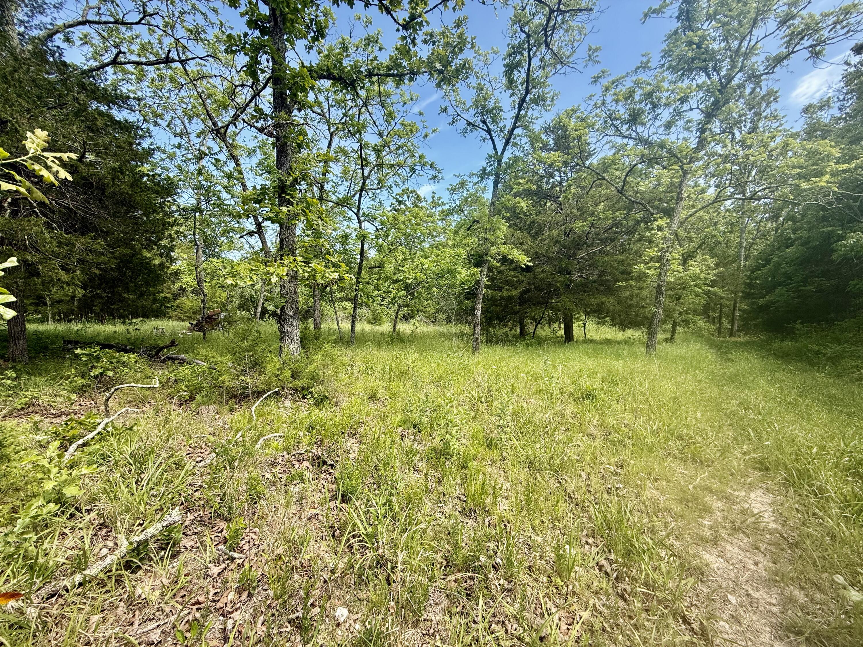 Photo 33 - Land for sale – 000  Bailey Road  Licking, MO